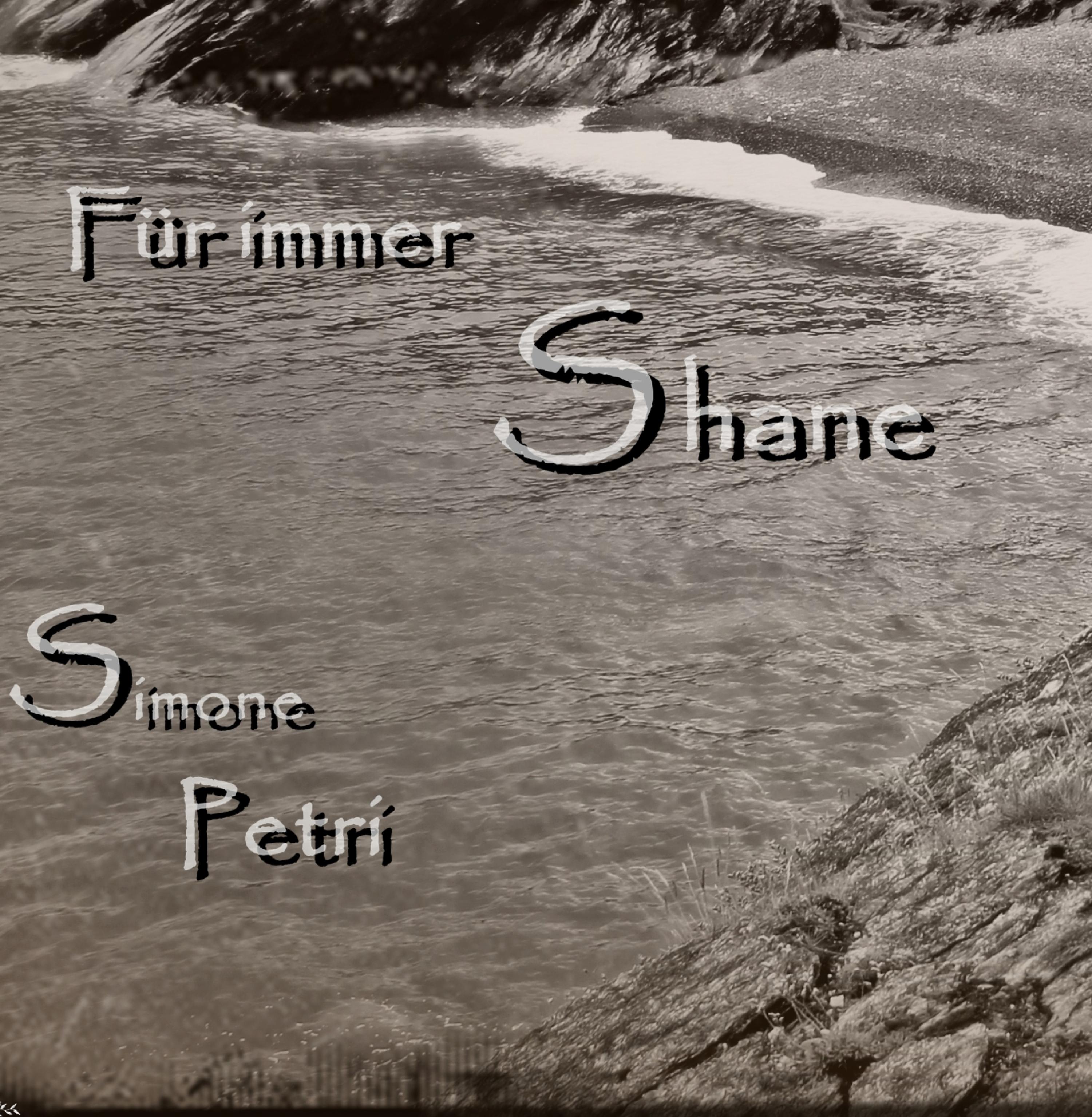 Обложка книги «Für immer Shane»
