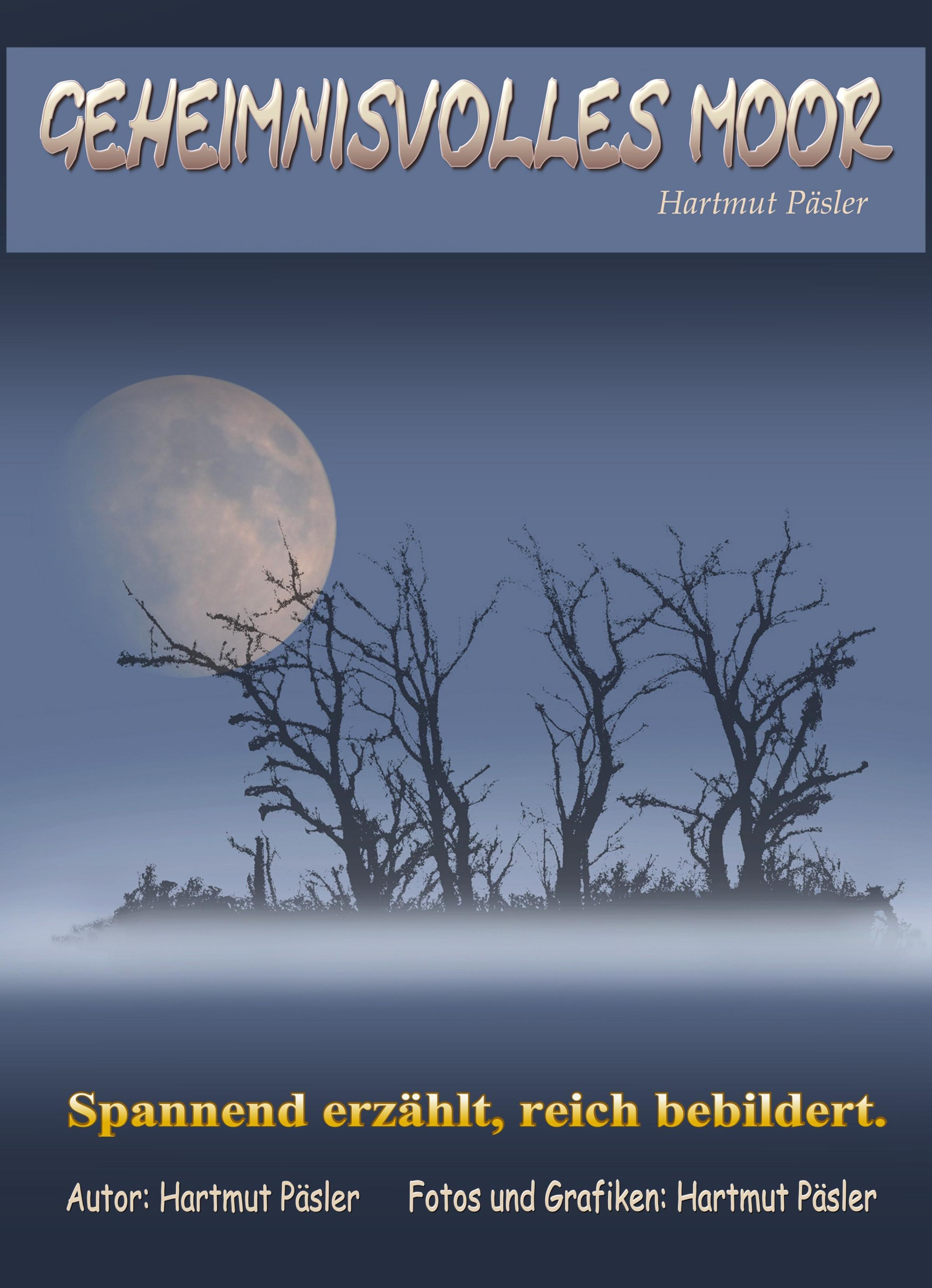 Обложка книги «Geheimnisvolles Moor»