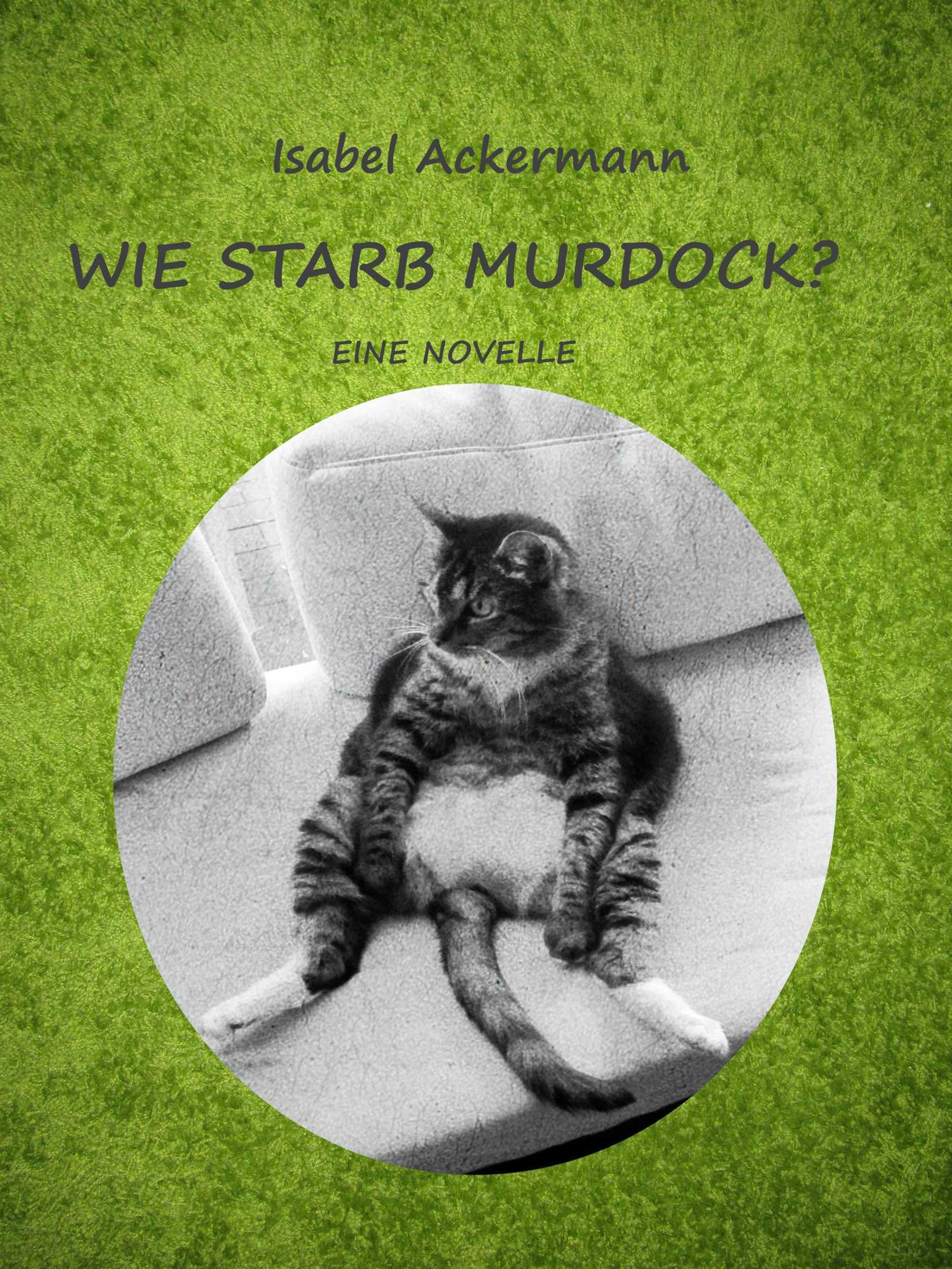 Обложка книги «Wie starb Murdock?»