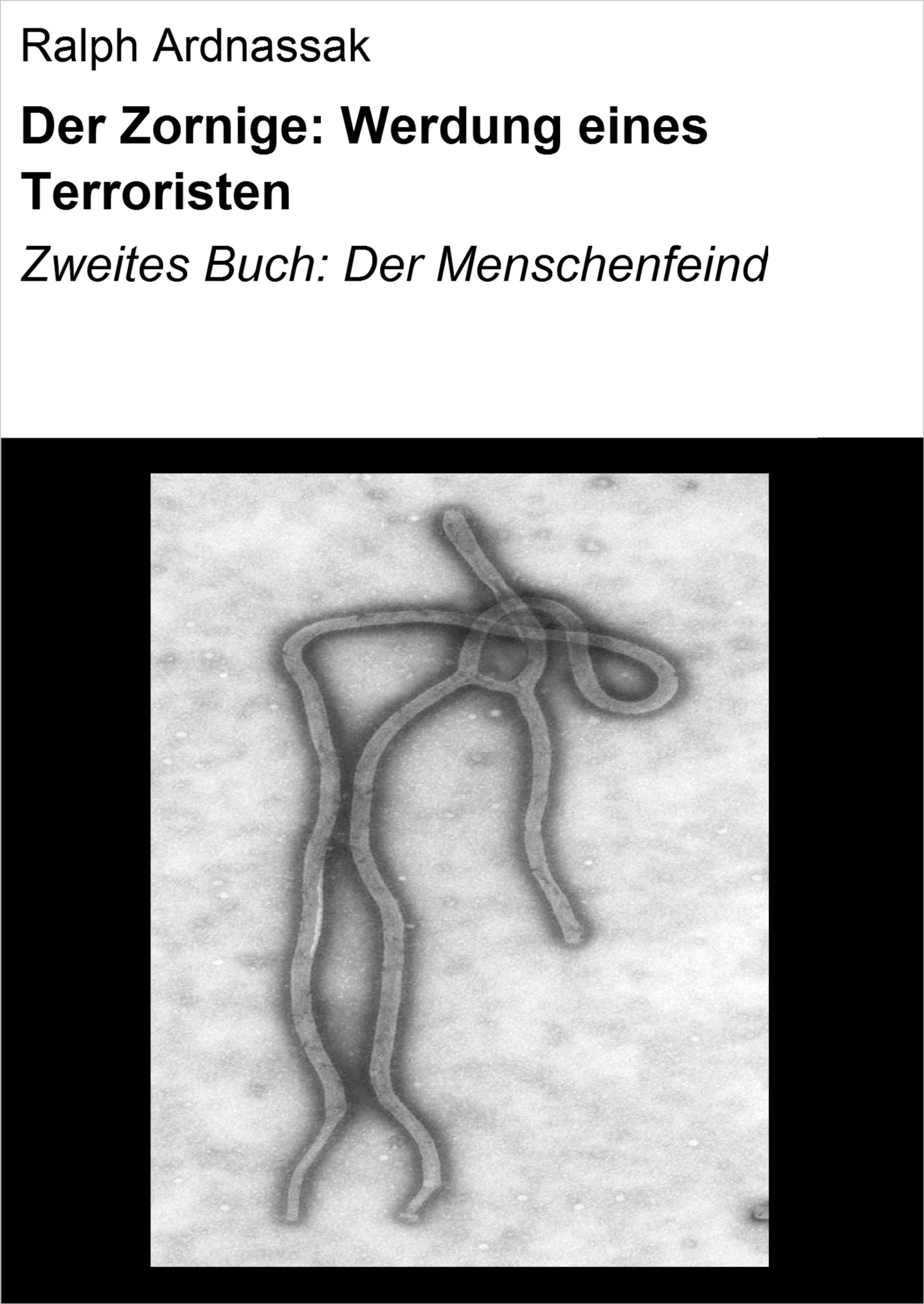 Обложка книги «Der Zornige: Werdung eines Terroristen»