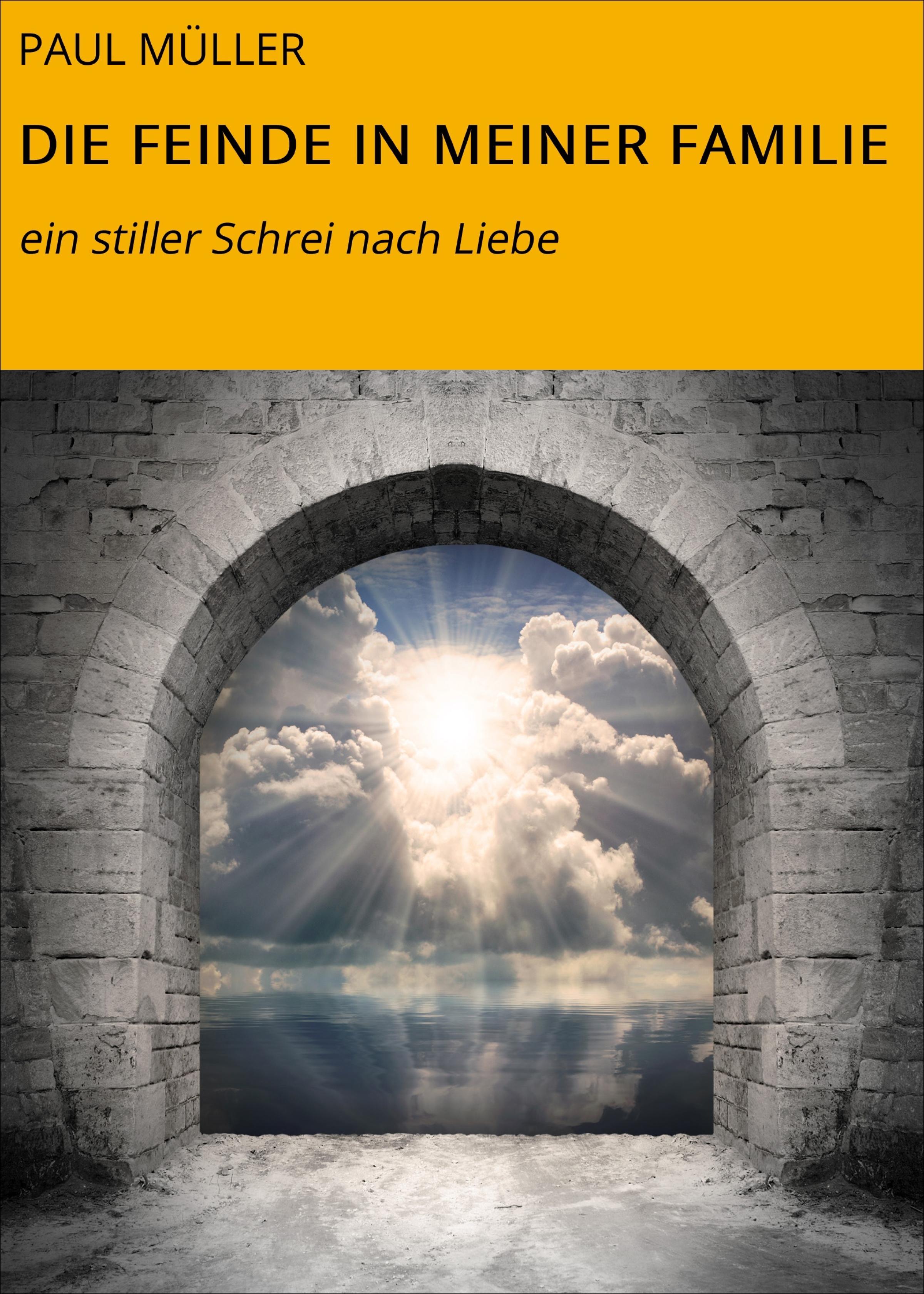 Обложка книги «DIE FEINDE IN MEINER FAMILIE»
