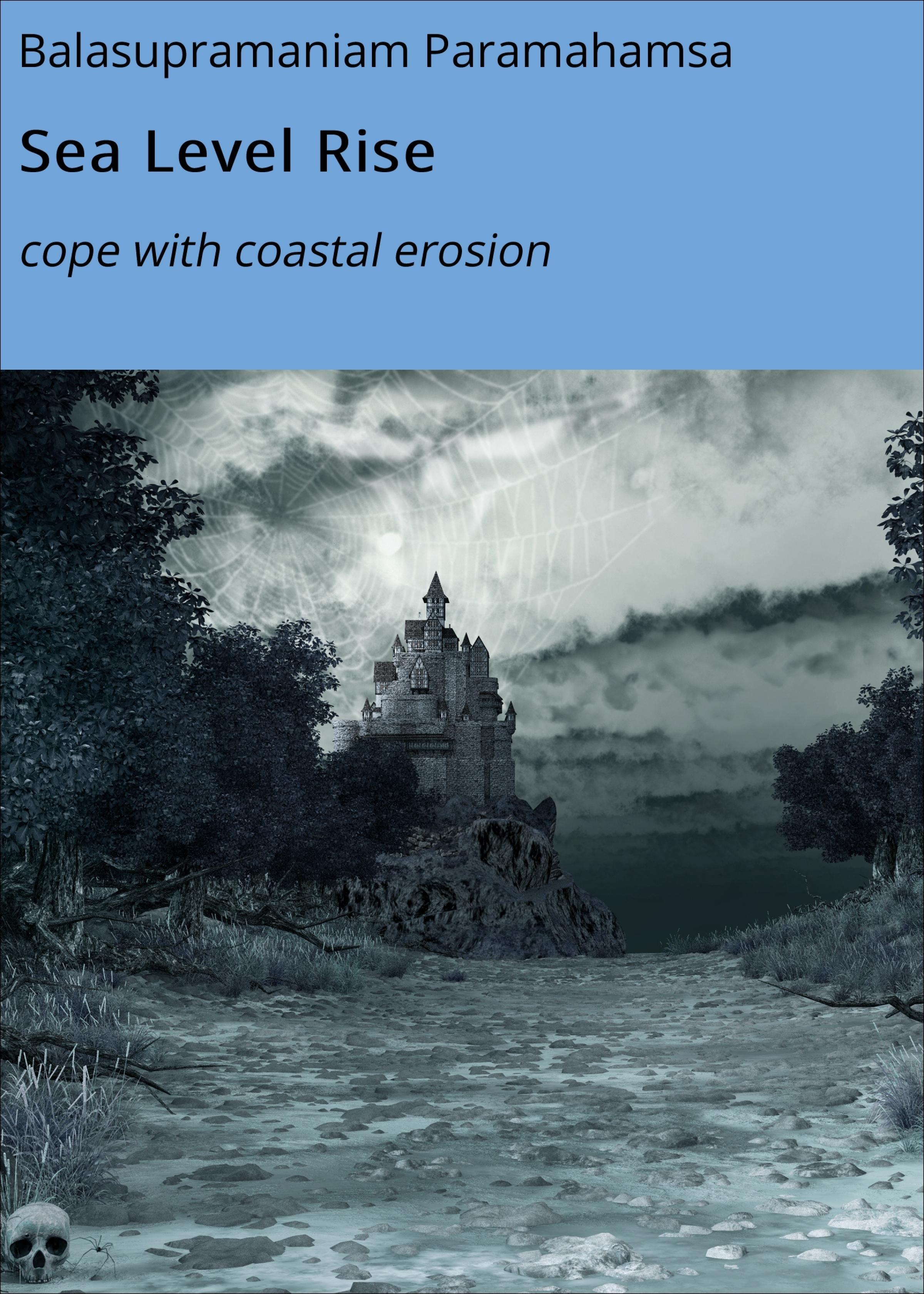 Обложка книги «Sea Level Rise»