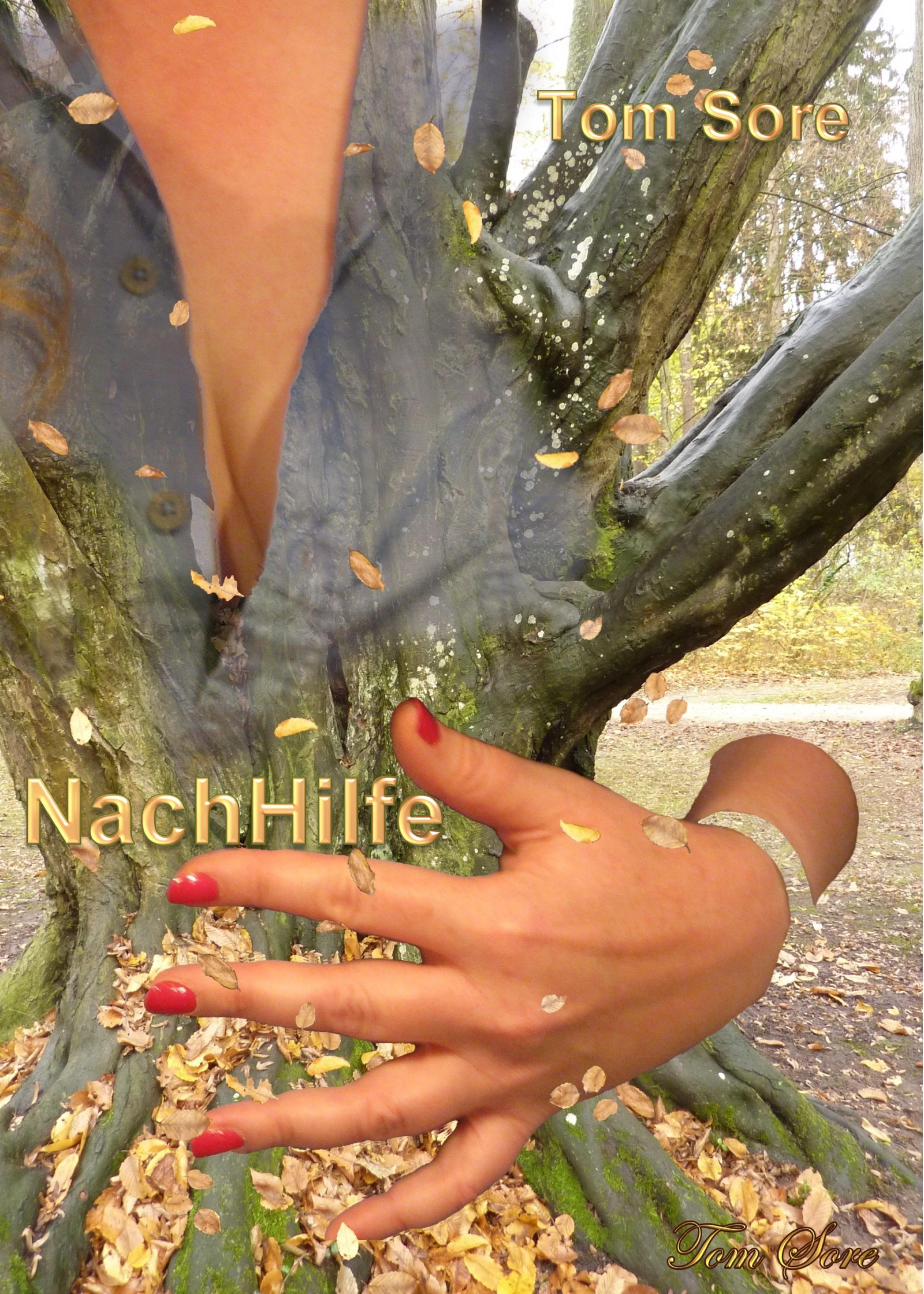 Обложка книги «NachHilfe»
