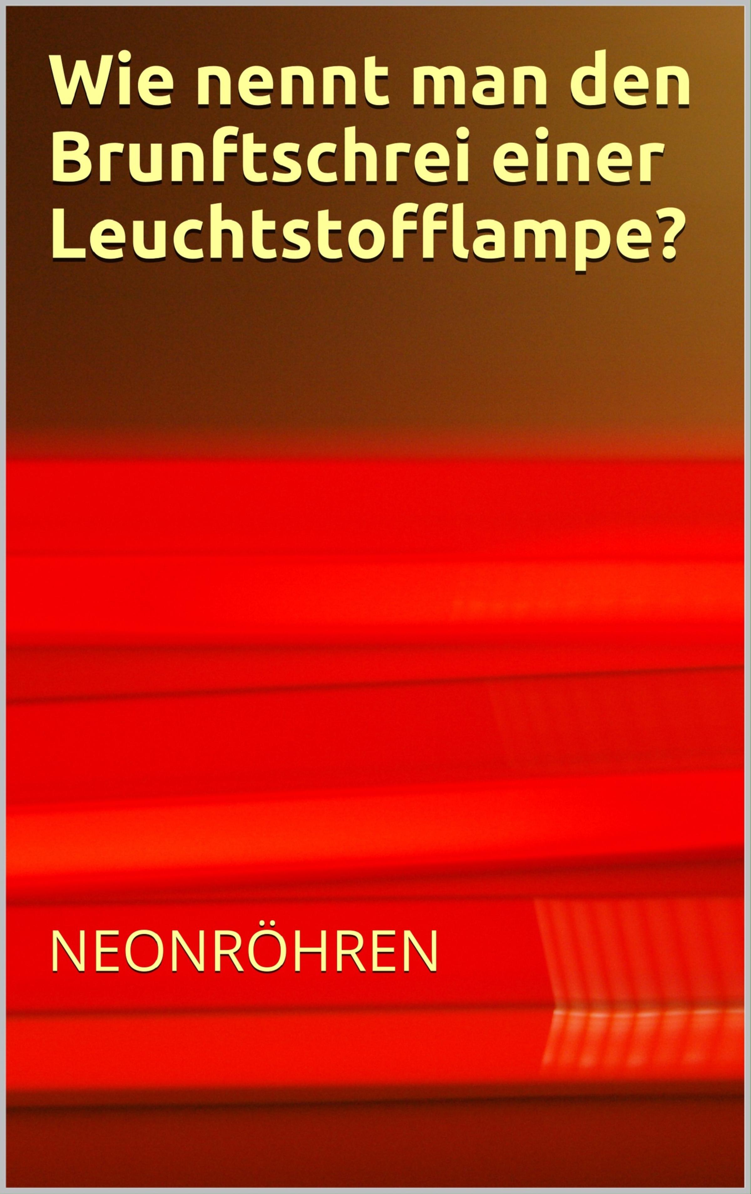 Обложка книги «Wie nennt man den Brunftschrei einer Neonröhre? - Flachwitze Teil 1»