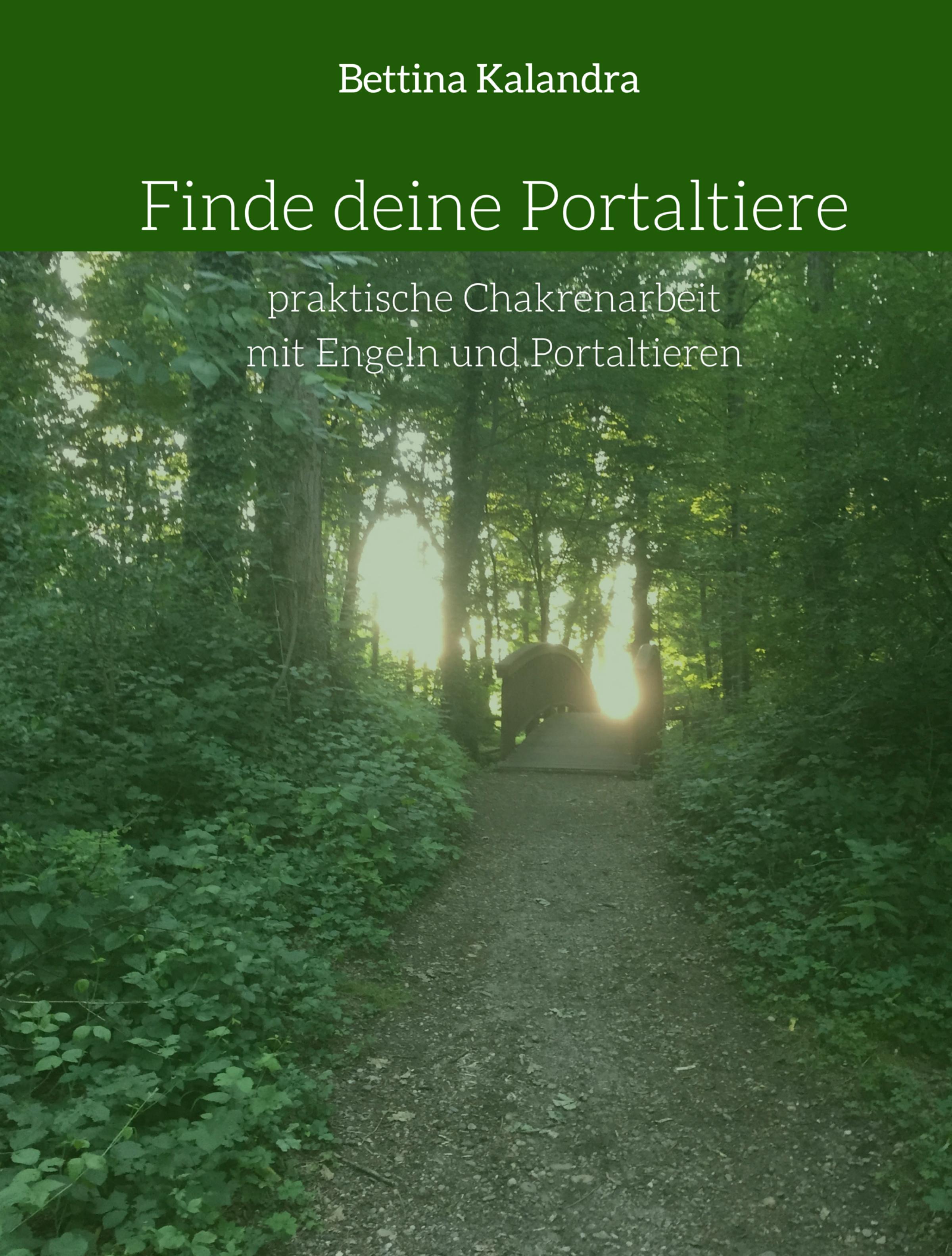 Обложка книги «Finde deine Portaltiere»