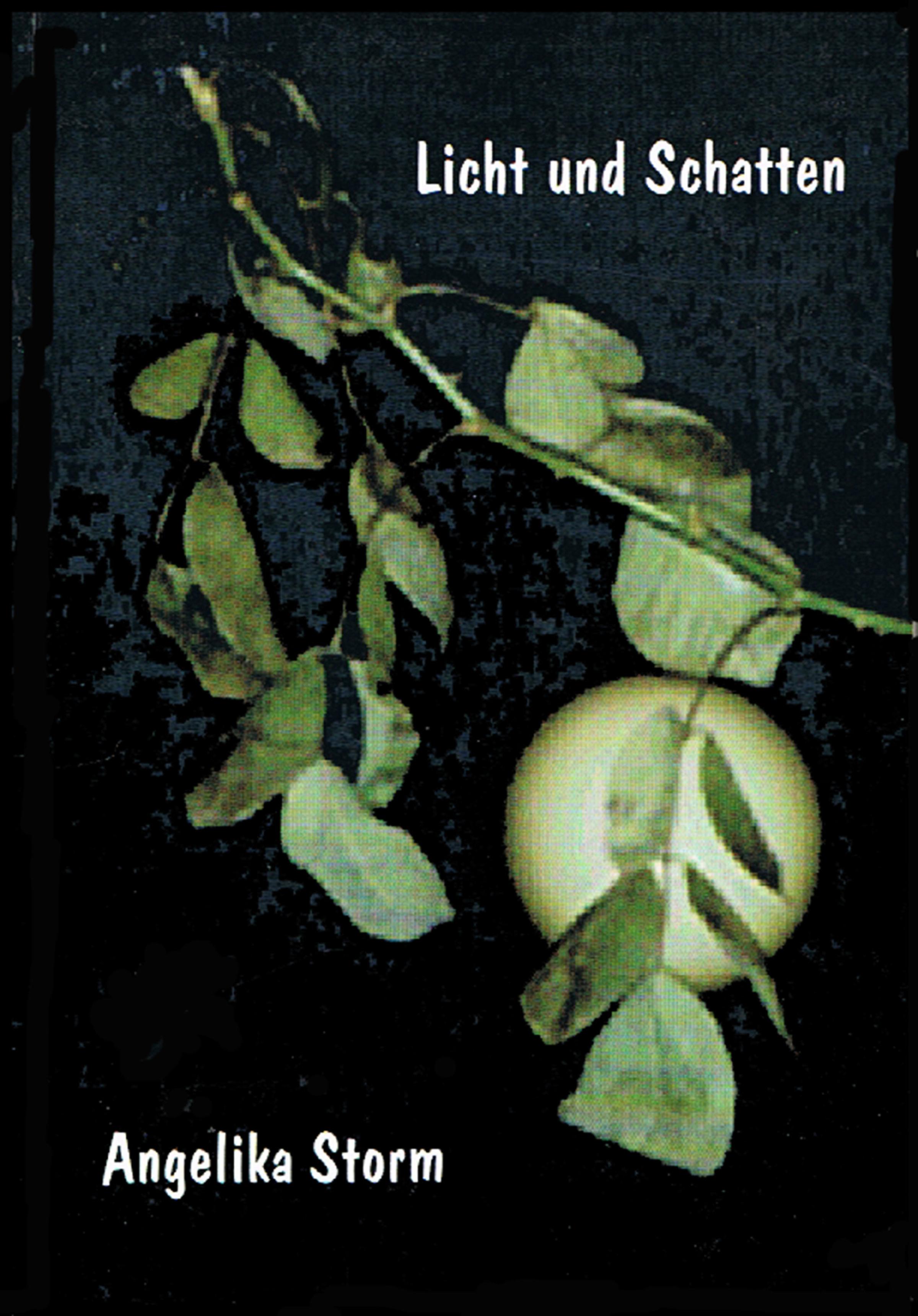 Обложка книги «Licht und Schatten»