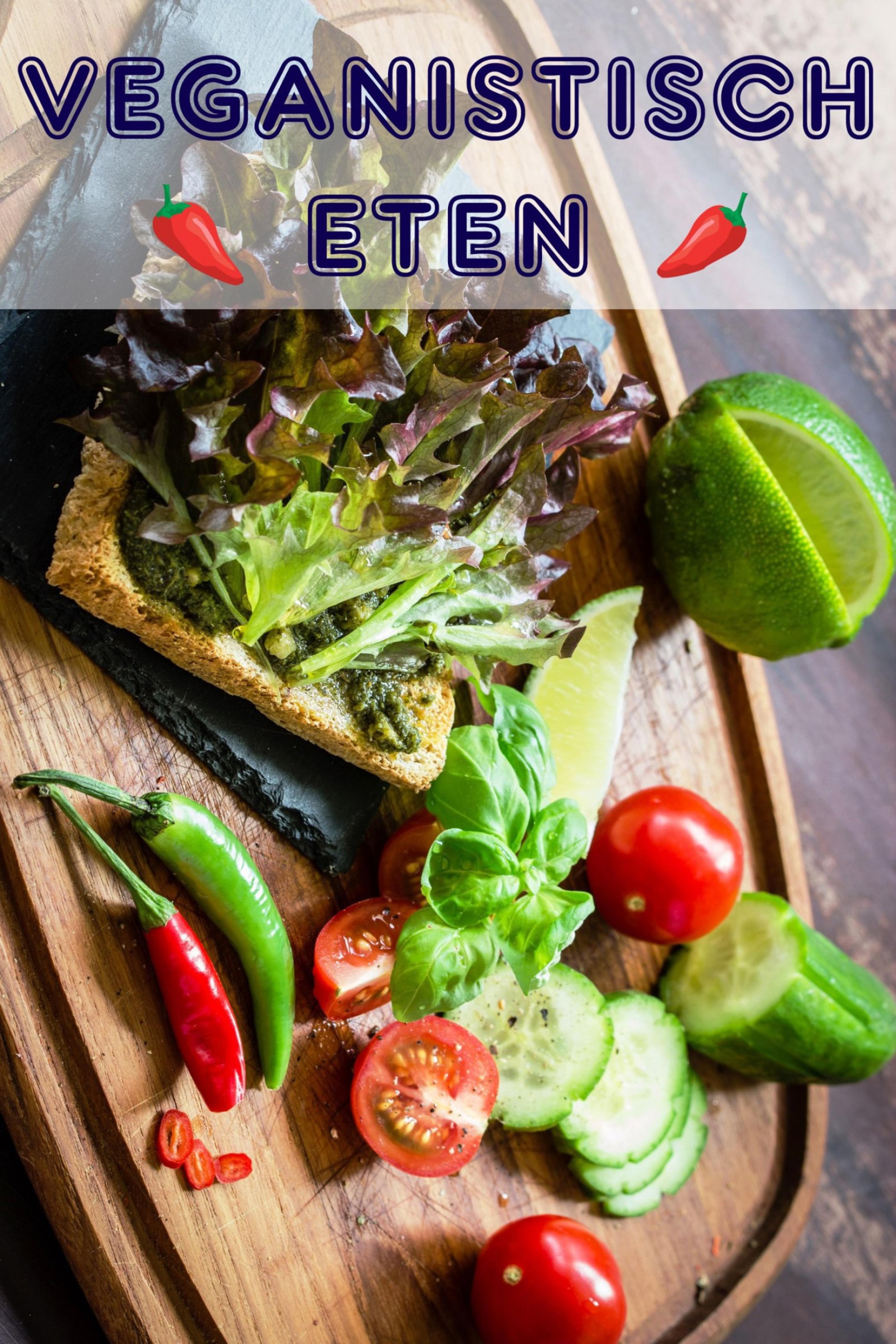 Обложка книги «Veganistisch Eten»