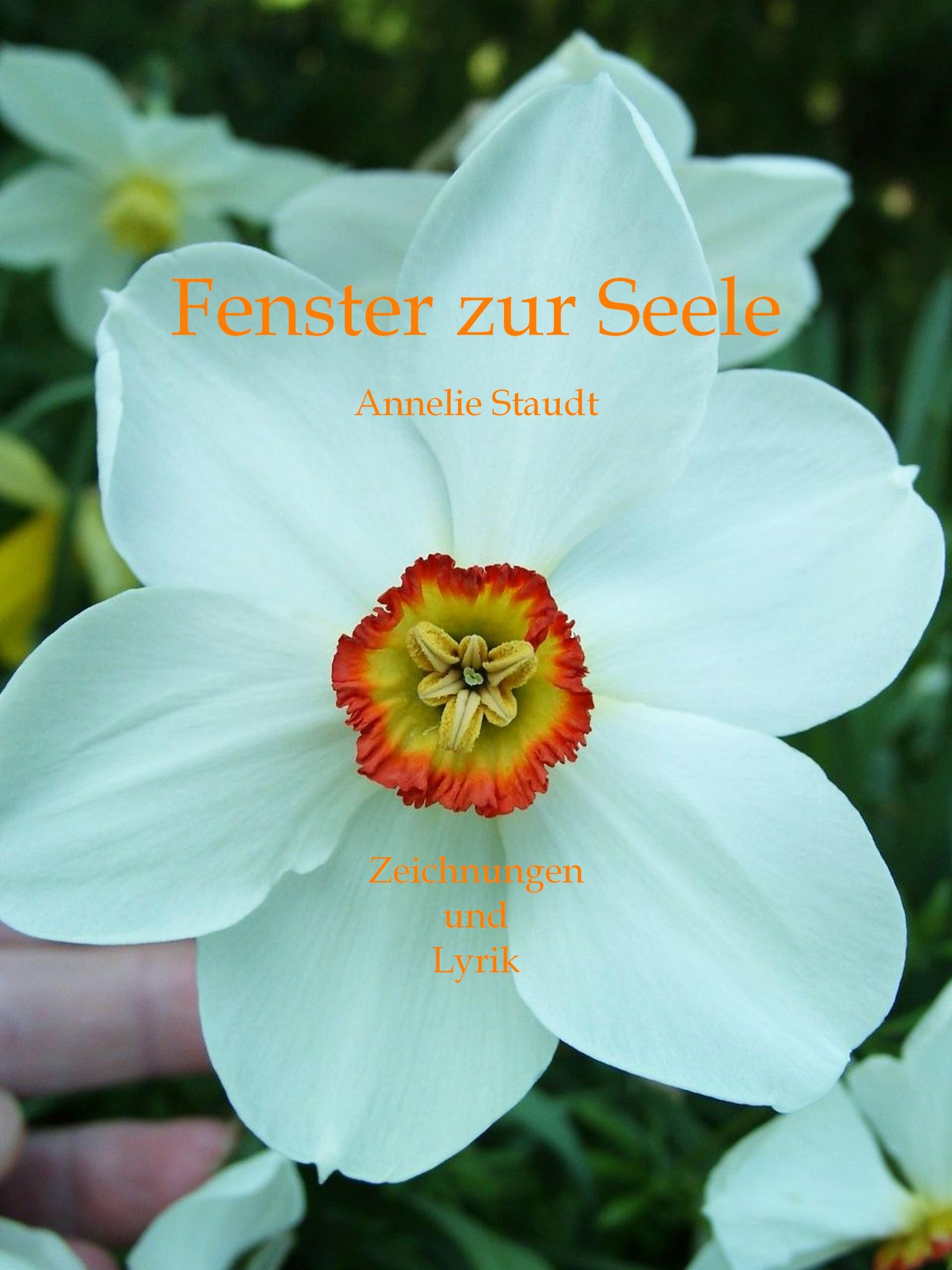 Обложка книги «Fenster zur Seele»
