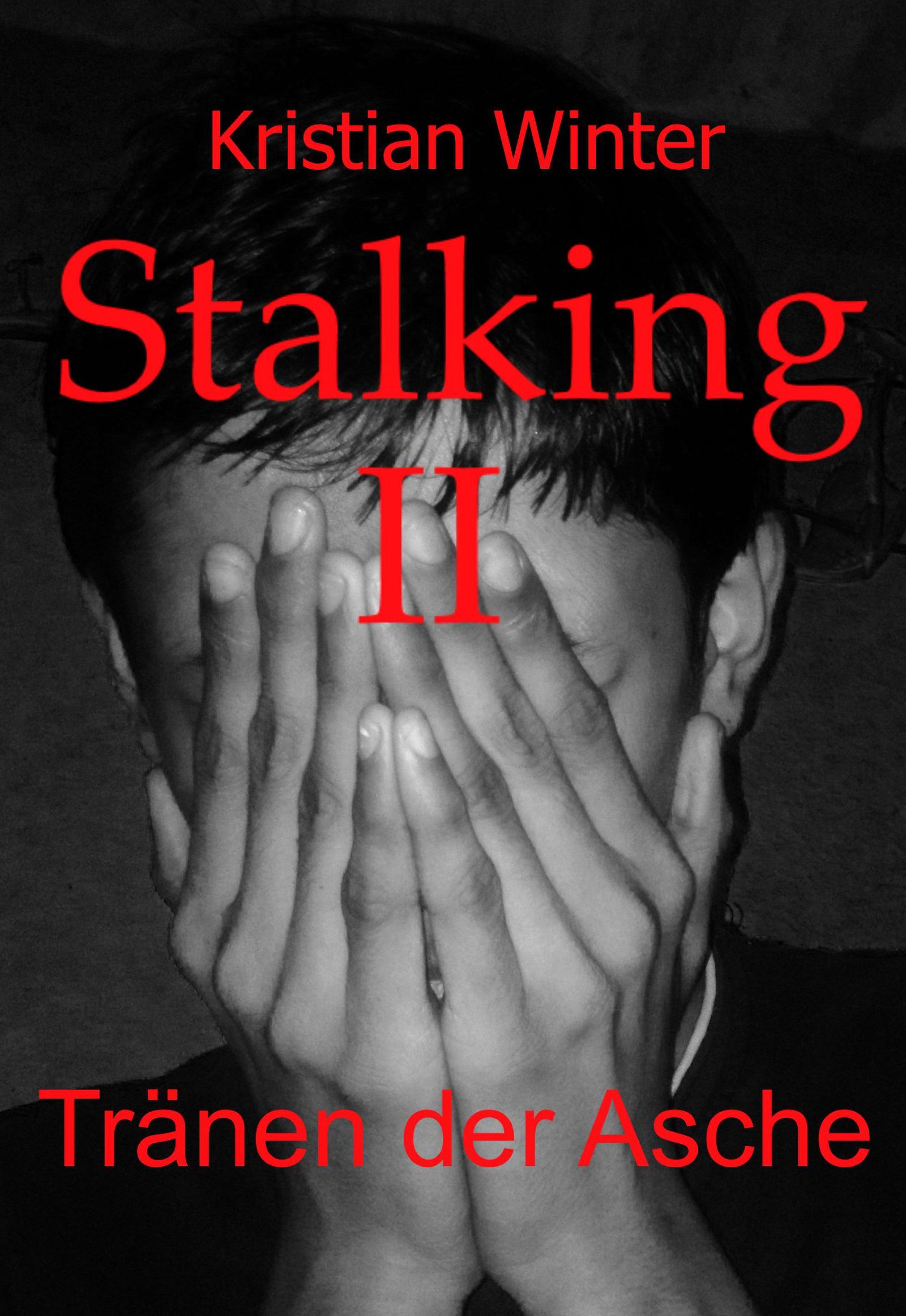 Обложка книги «Stalking II»