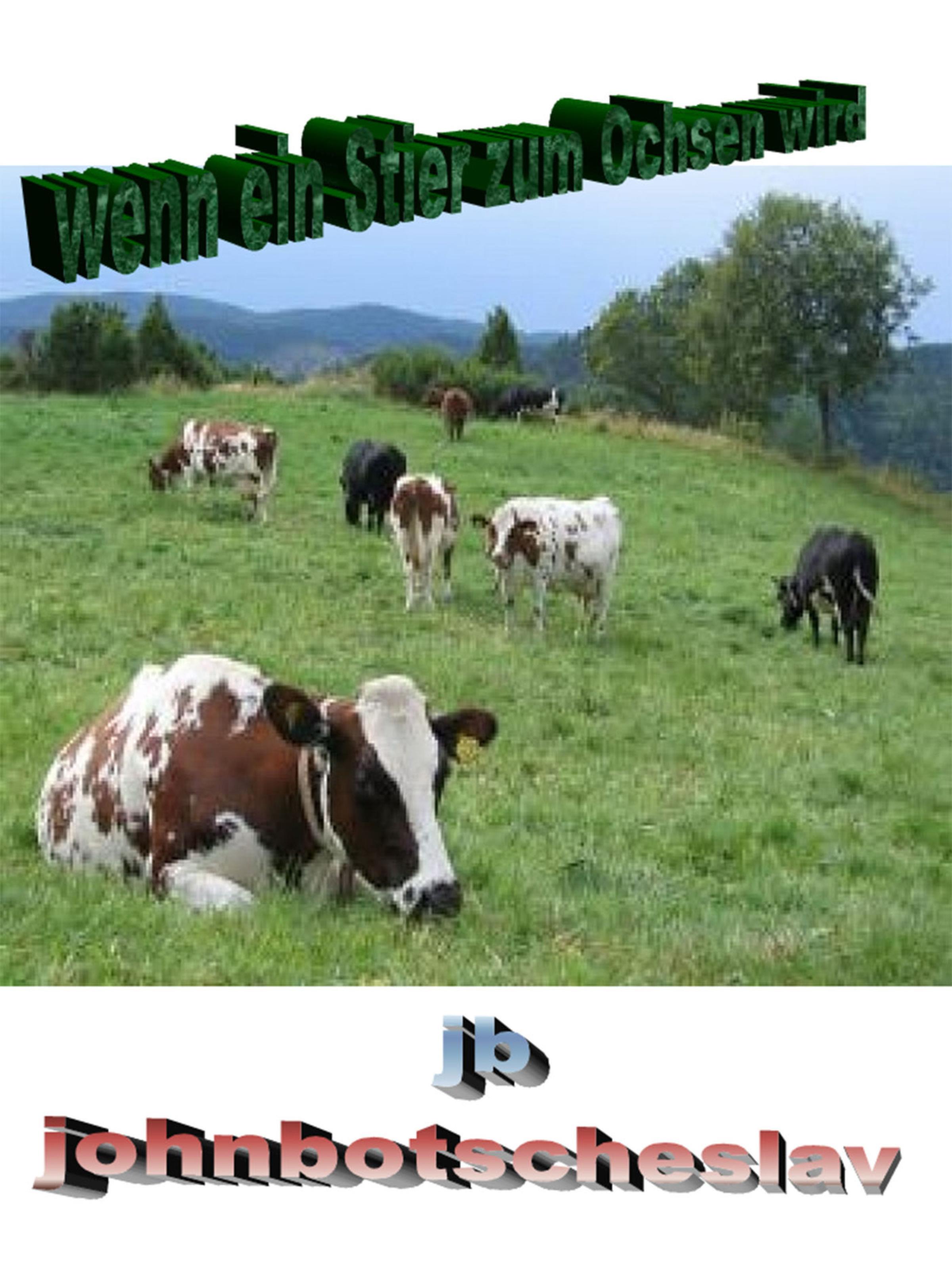 Обложка книги «wenn ein Stier zum Ochsen wird»