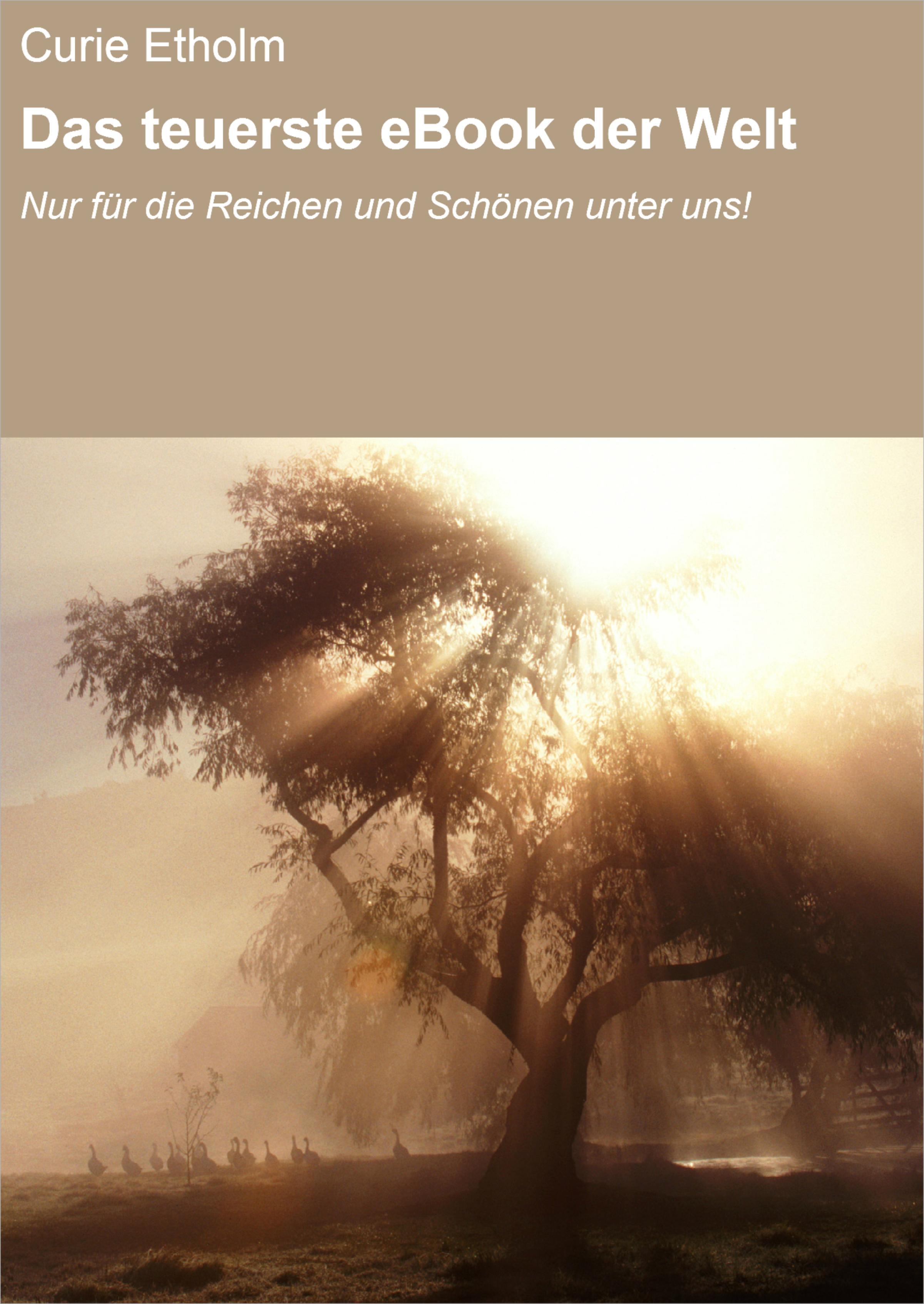 Обложка книги «Das teuerste eBook der Welt»