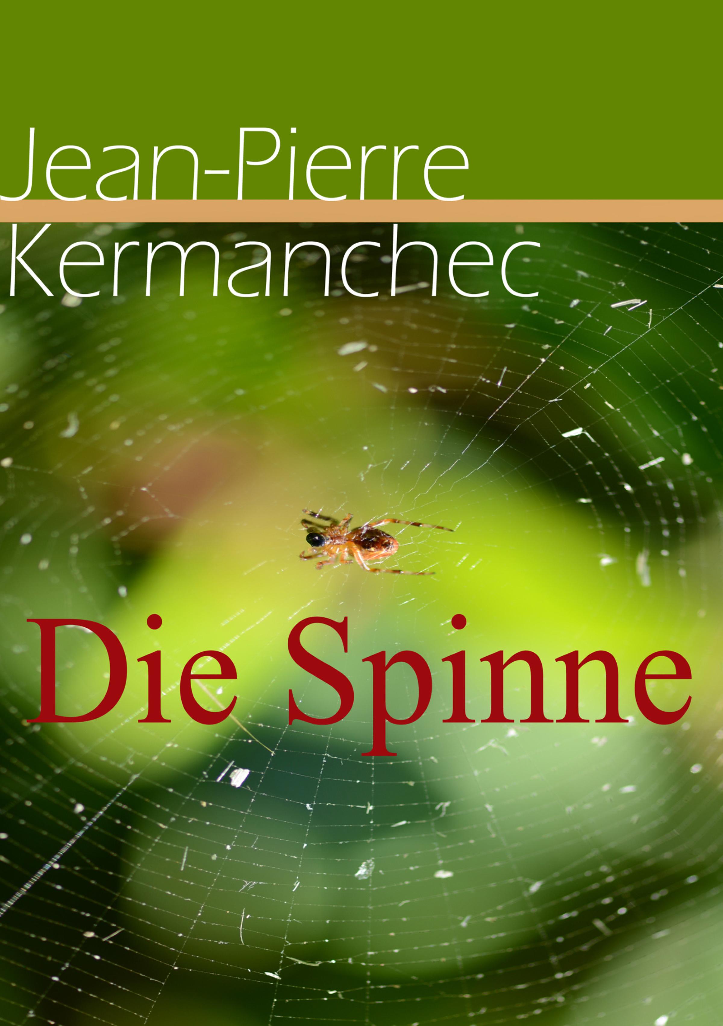 Обложка книги «Die Spinne»