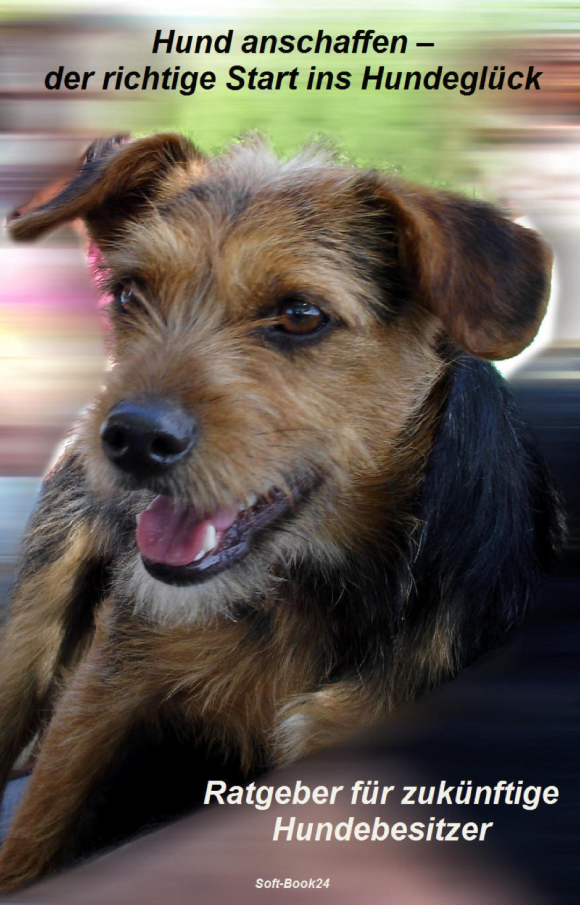 Обложка книги «Hund anschaffen»