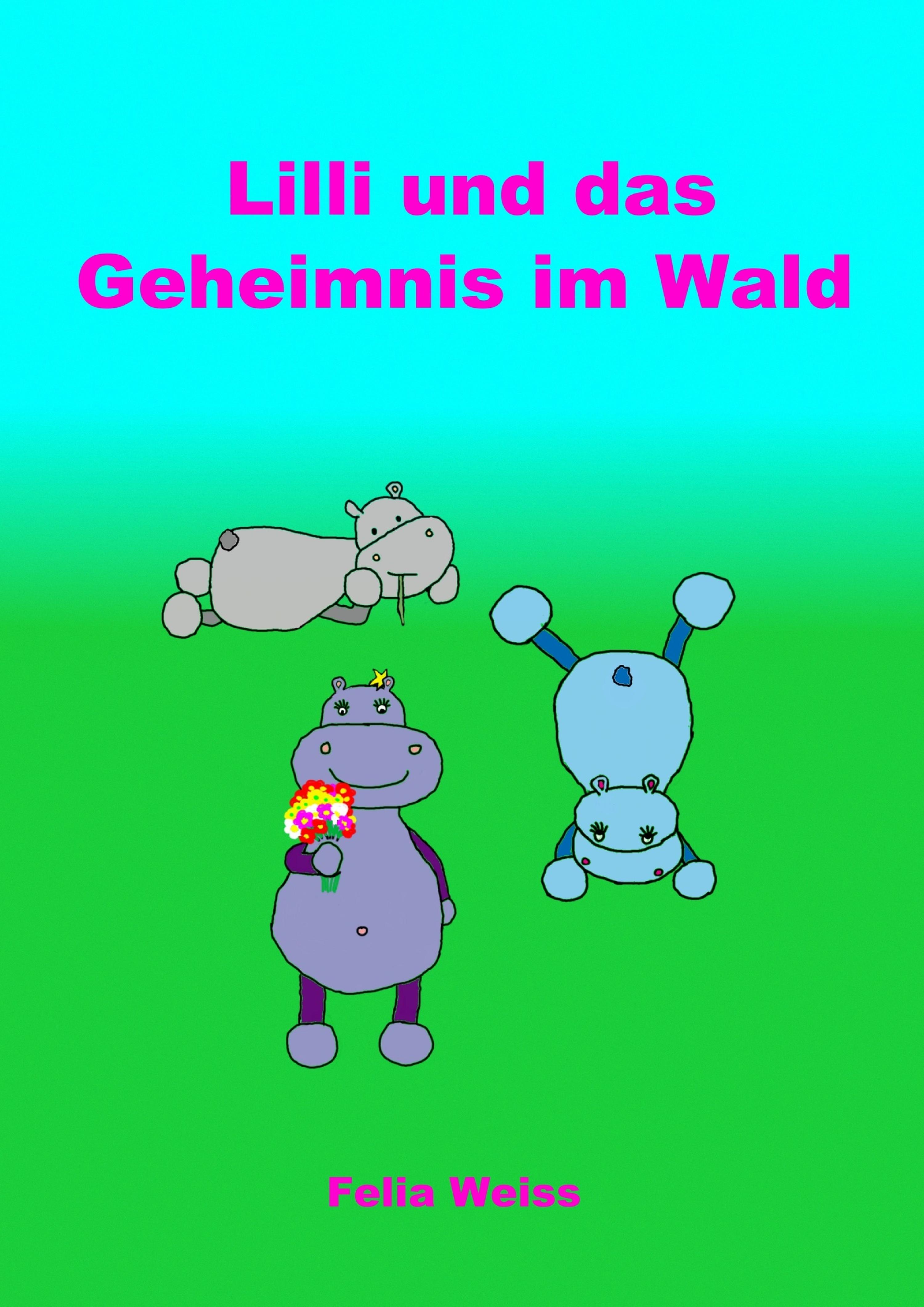 Обложка книги «Lilli und das Geheimnis im Wald»