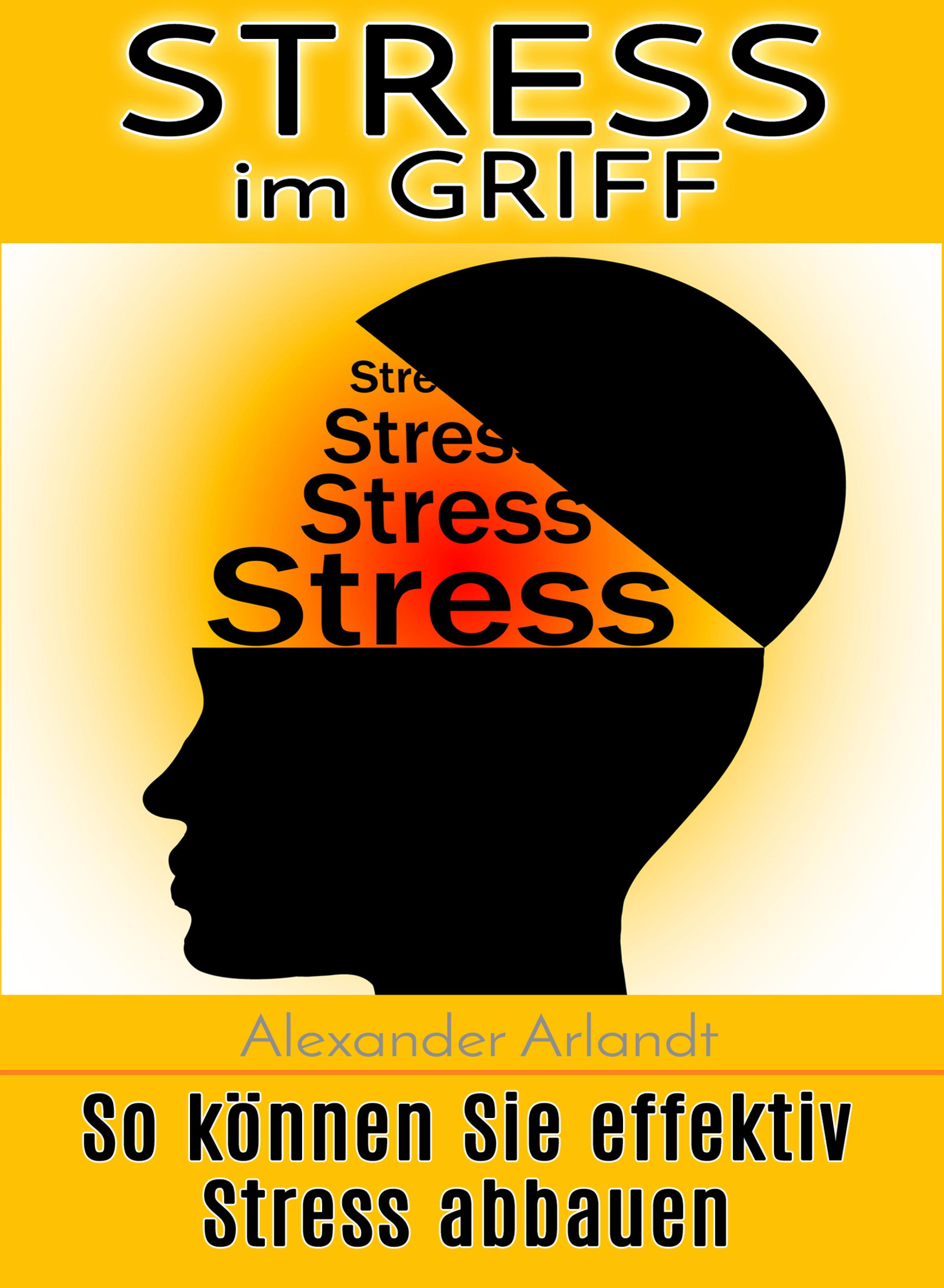 Обложка книги «Stress im Griff»