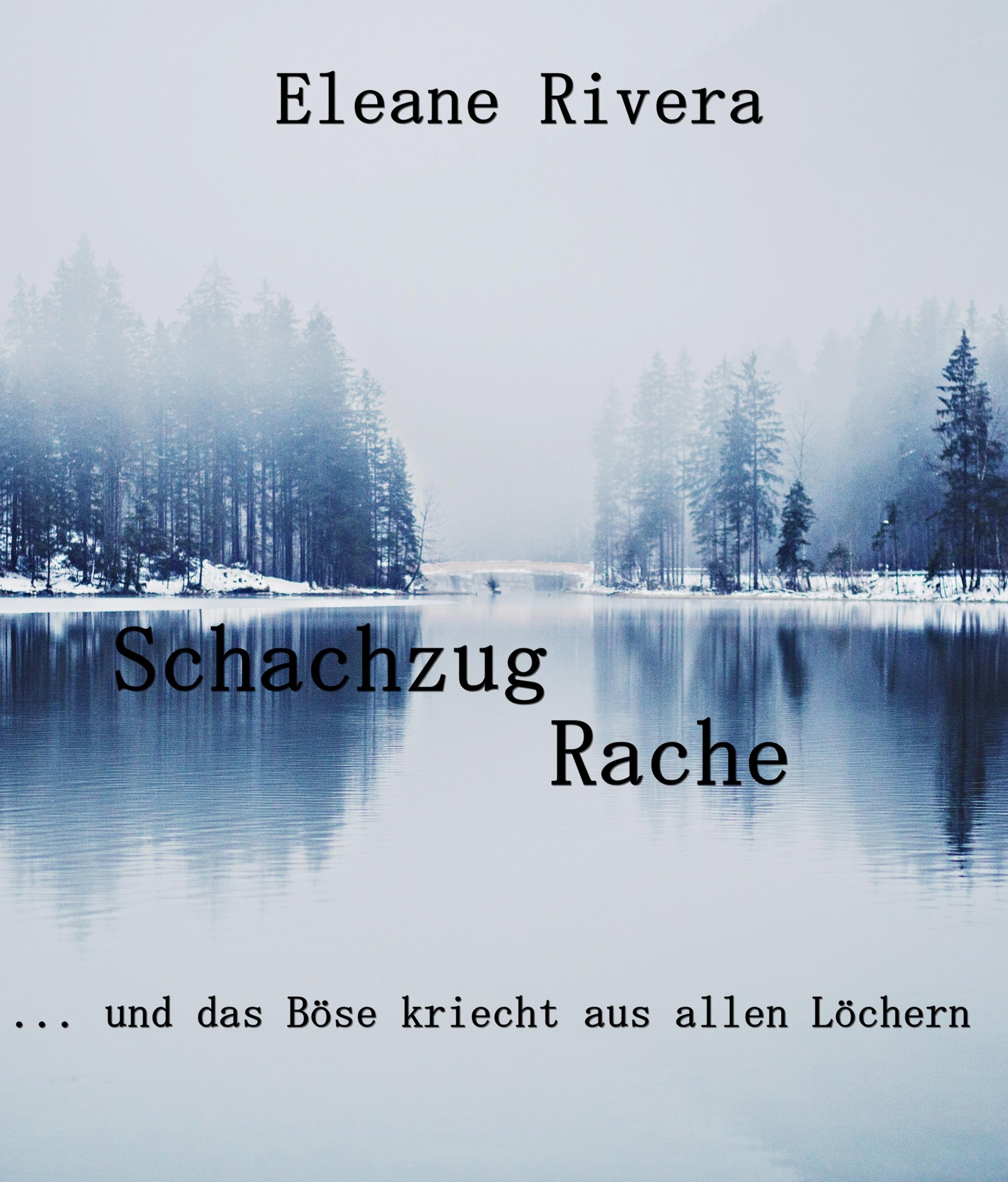 Обложка книги «Schachzug Rache»