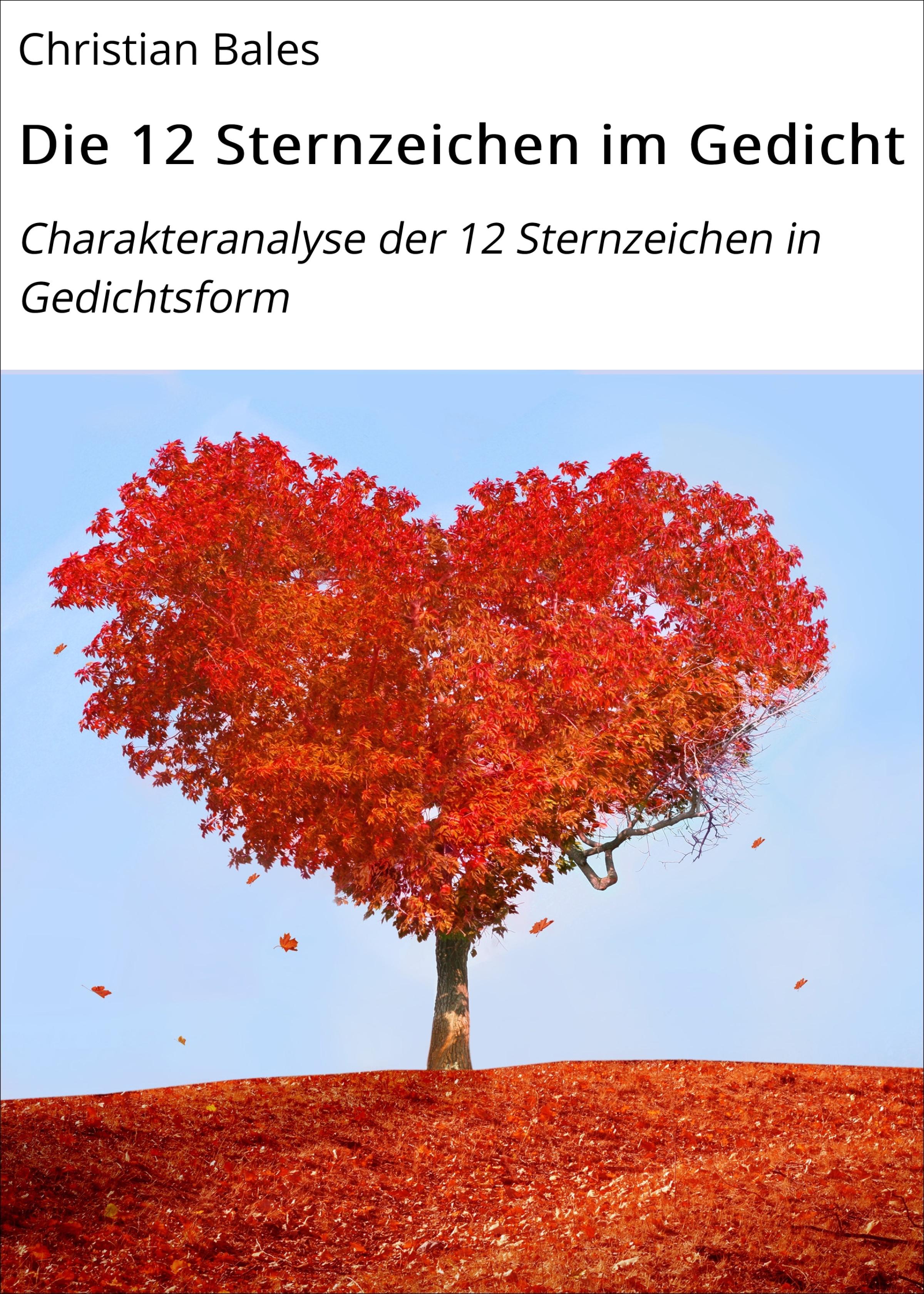 Обложка книги «Die 12 Sternzeichen im Gedicht»