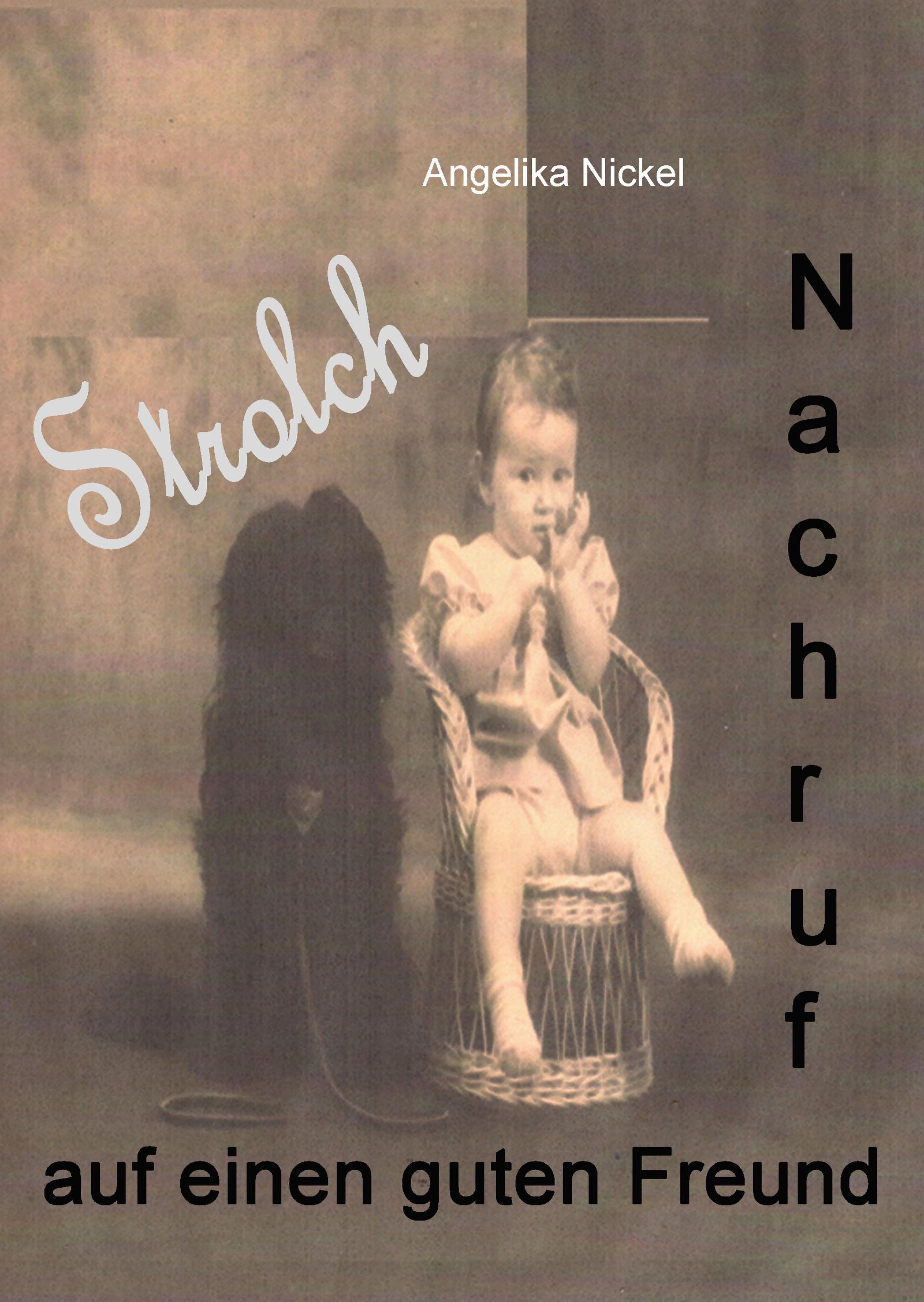 Обложка книги «Strolch»