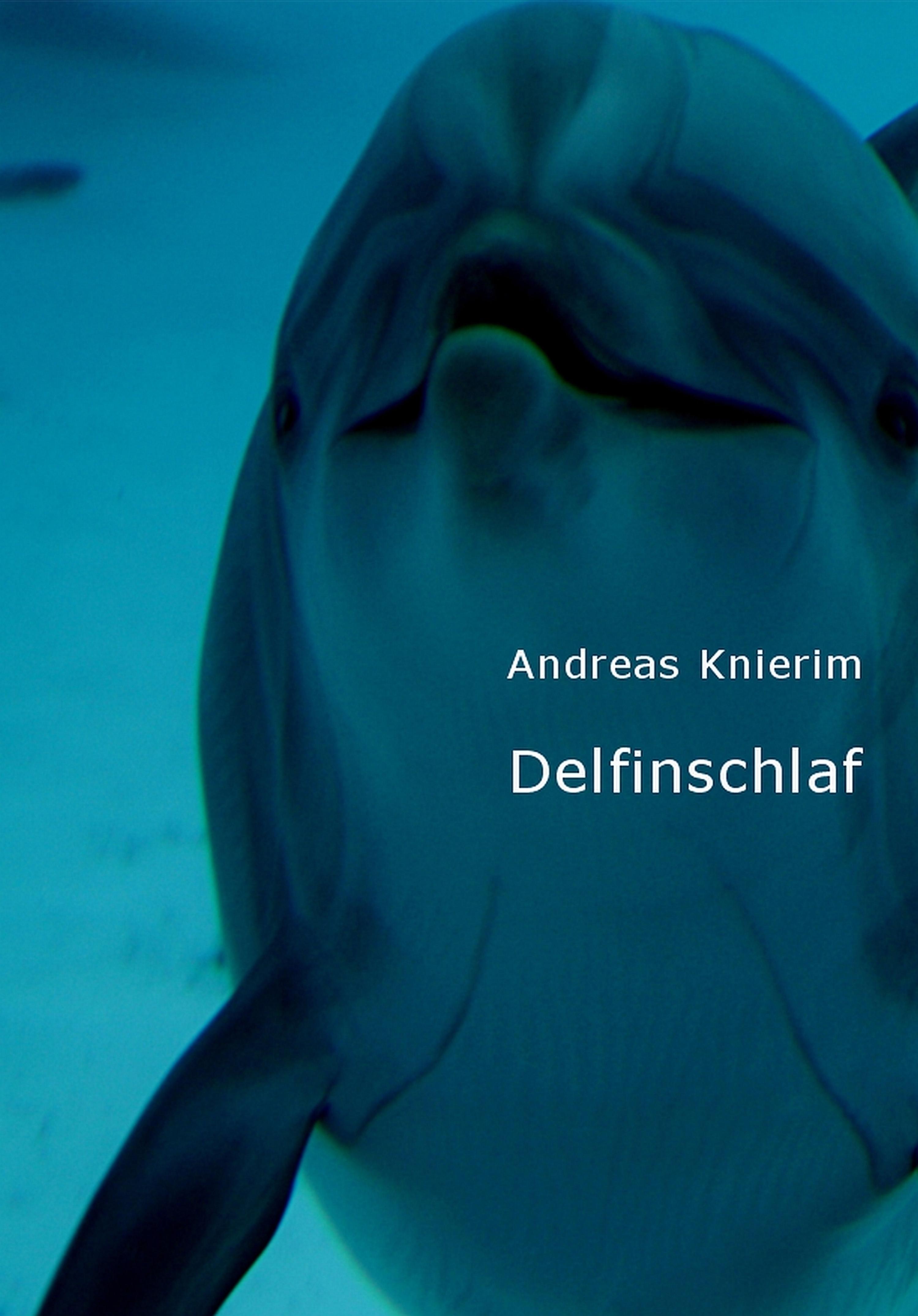 Обложка книги «Delfinschlaf»