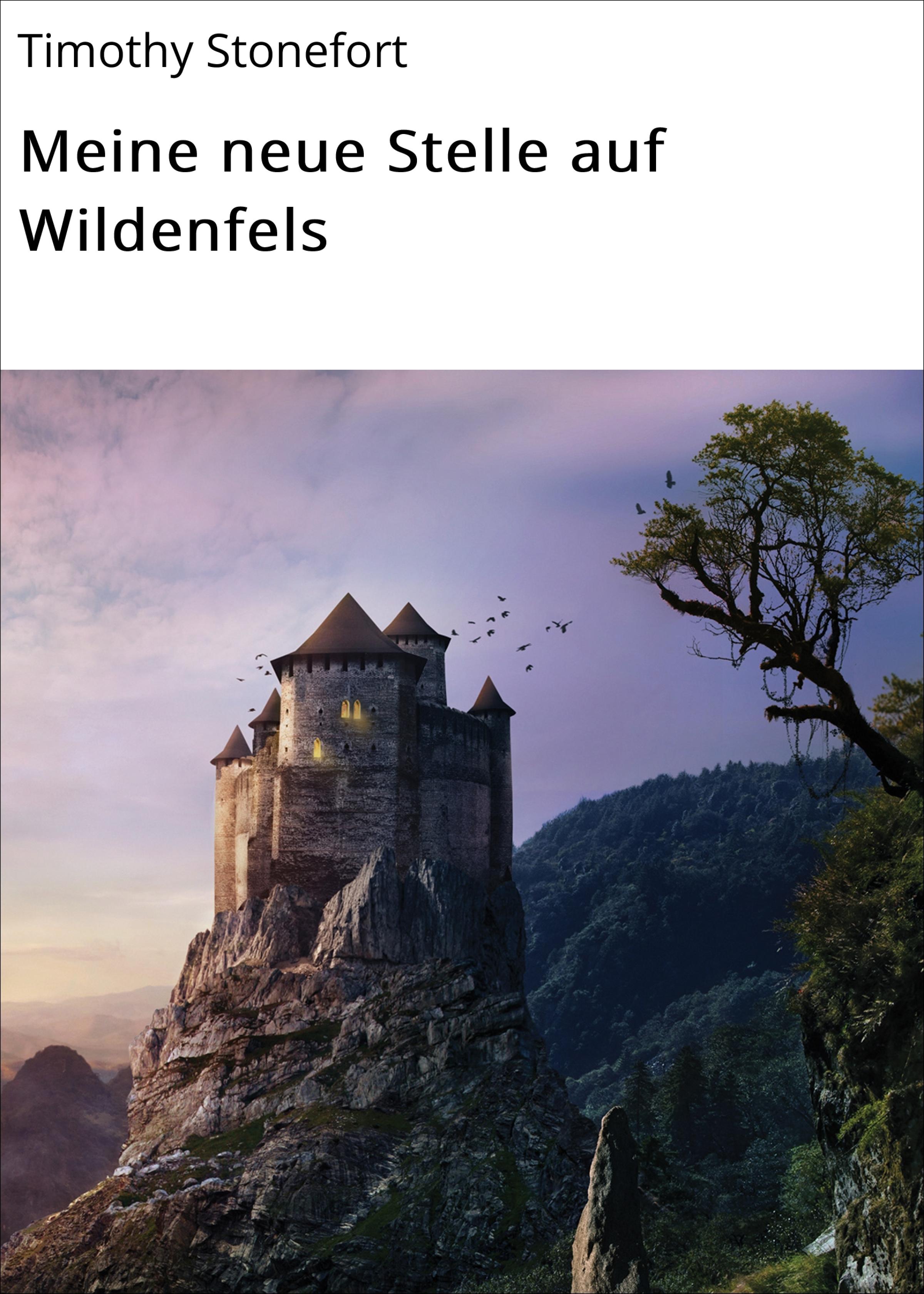 Обложка книги «Meine neue Stelle auf Wildenfels»