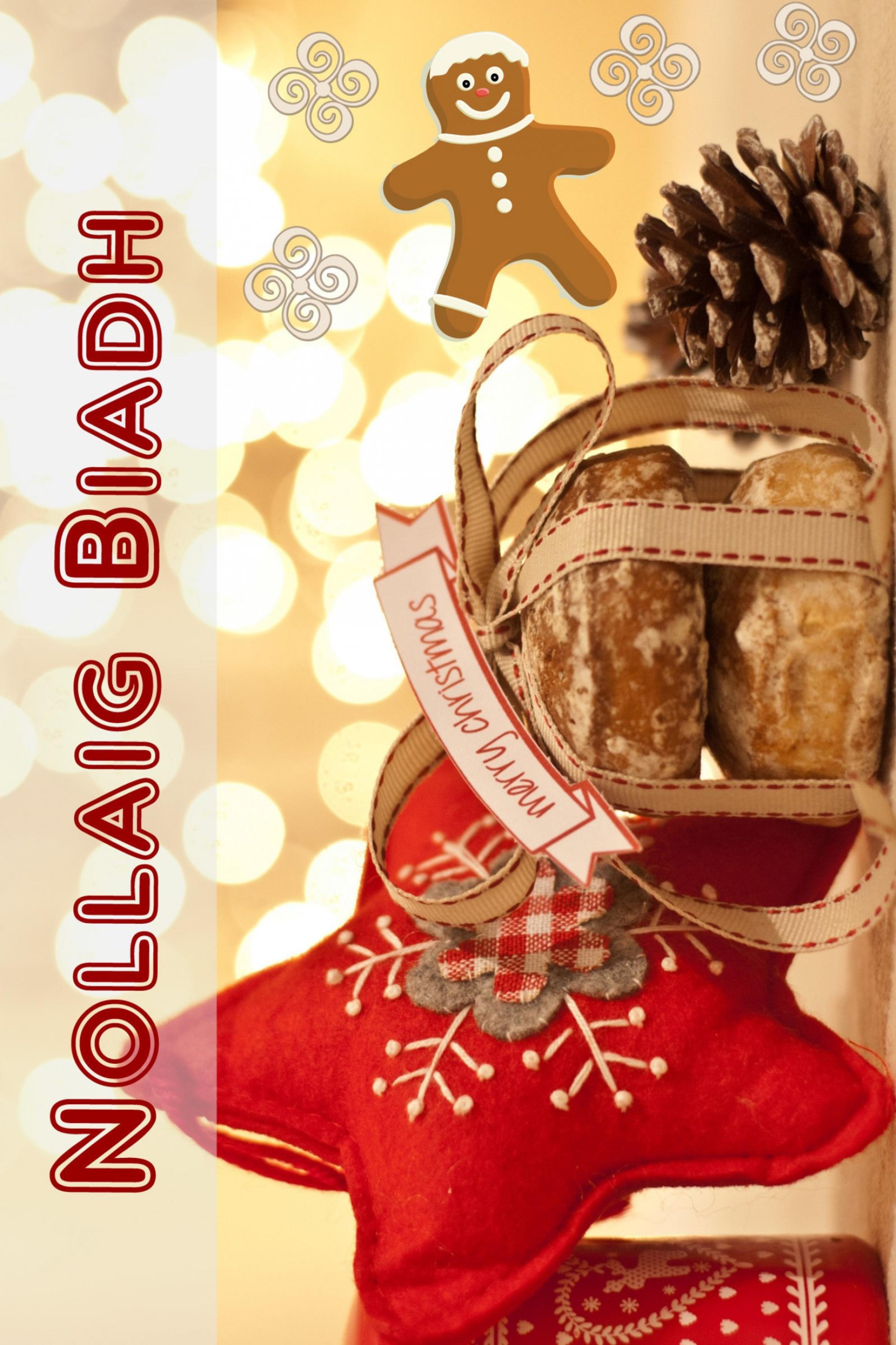 Обложка книги «Nollaig Biadh»