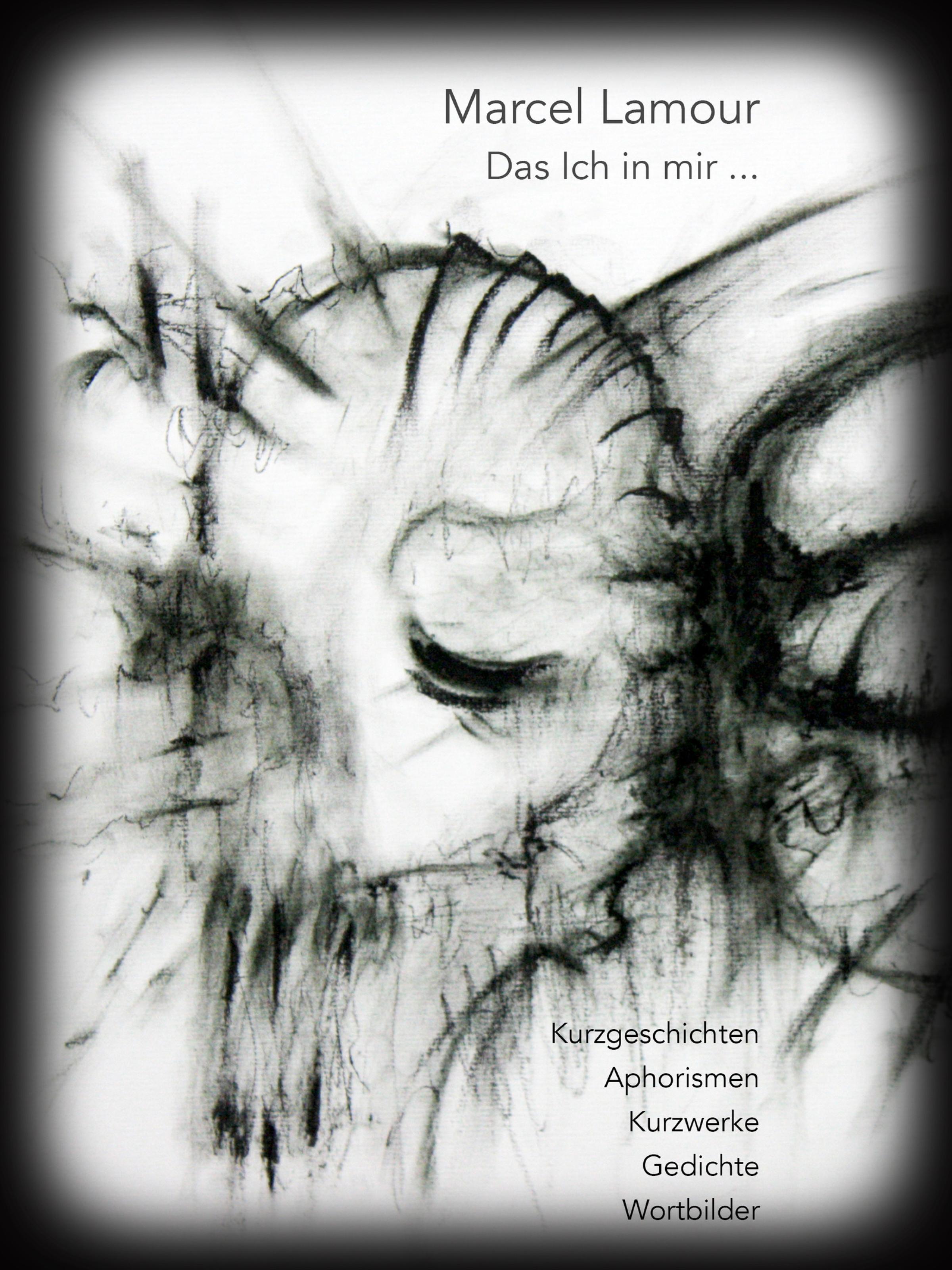 Обложка книги «Das Ich in mir ...»