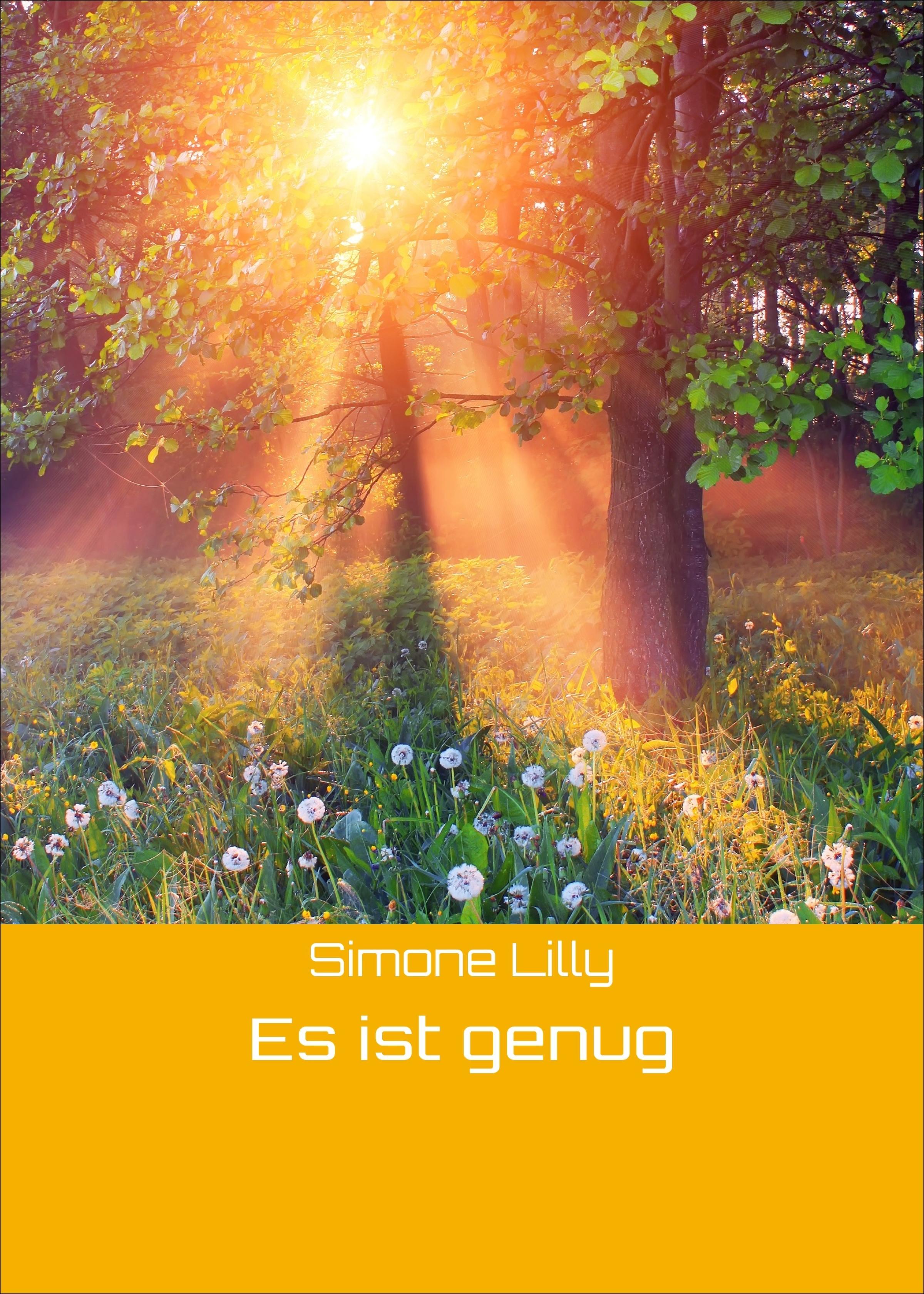 Обложка книги «Es ist genug»