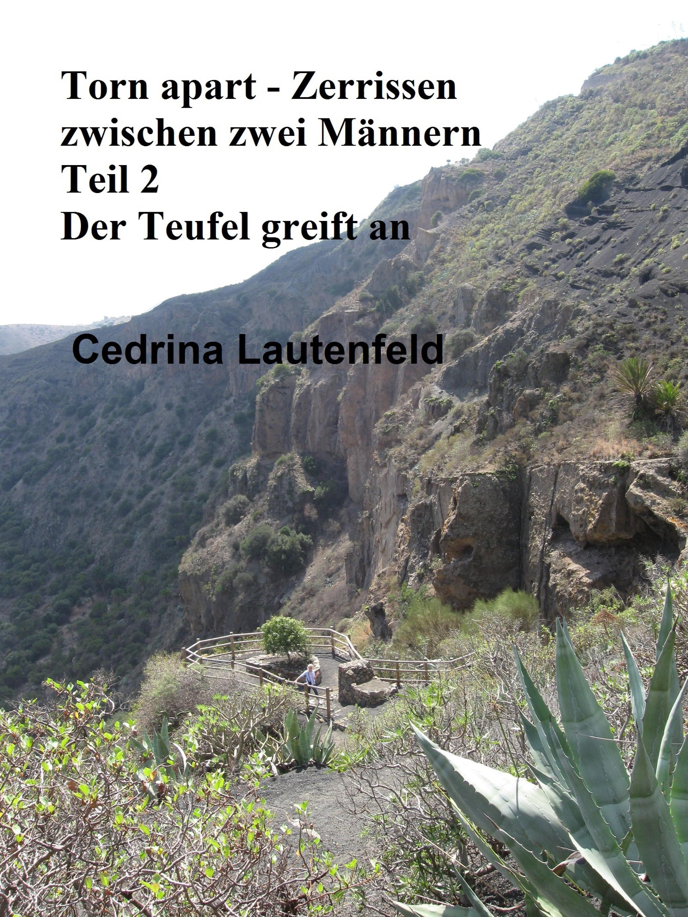 Обложка книги «Torn apart - Zerrissen zwischen zwei Männern»