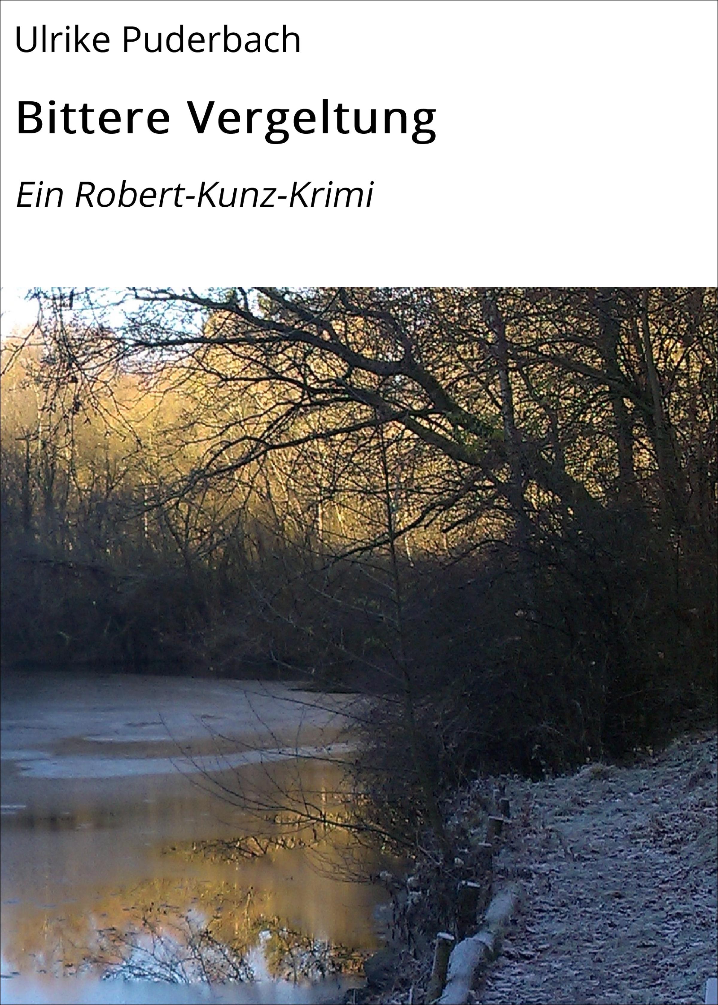 Обложка книги «Bittere Vergeltung»