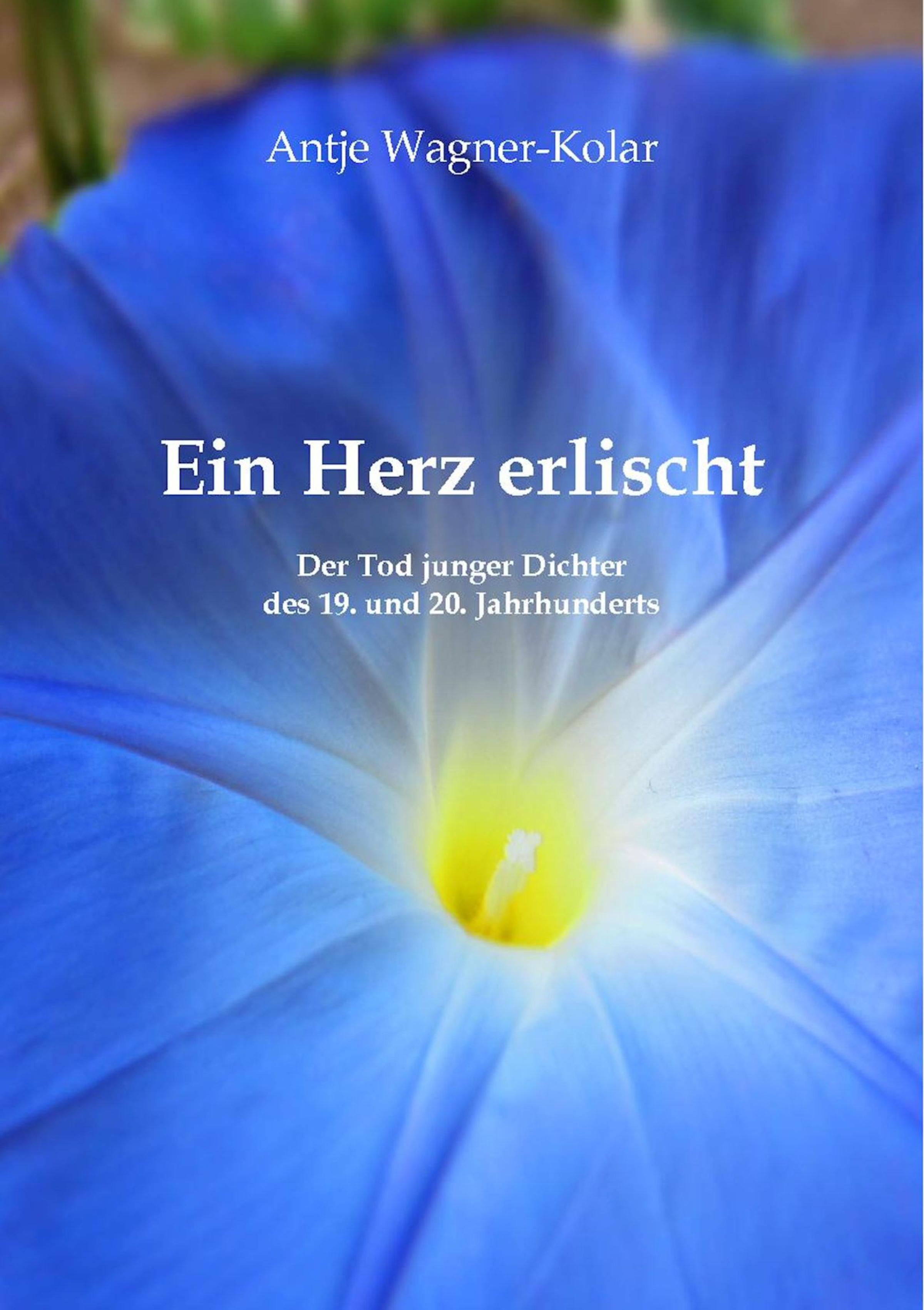 Обложка книги «Ein Herz erlischt»