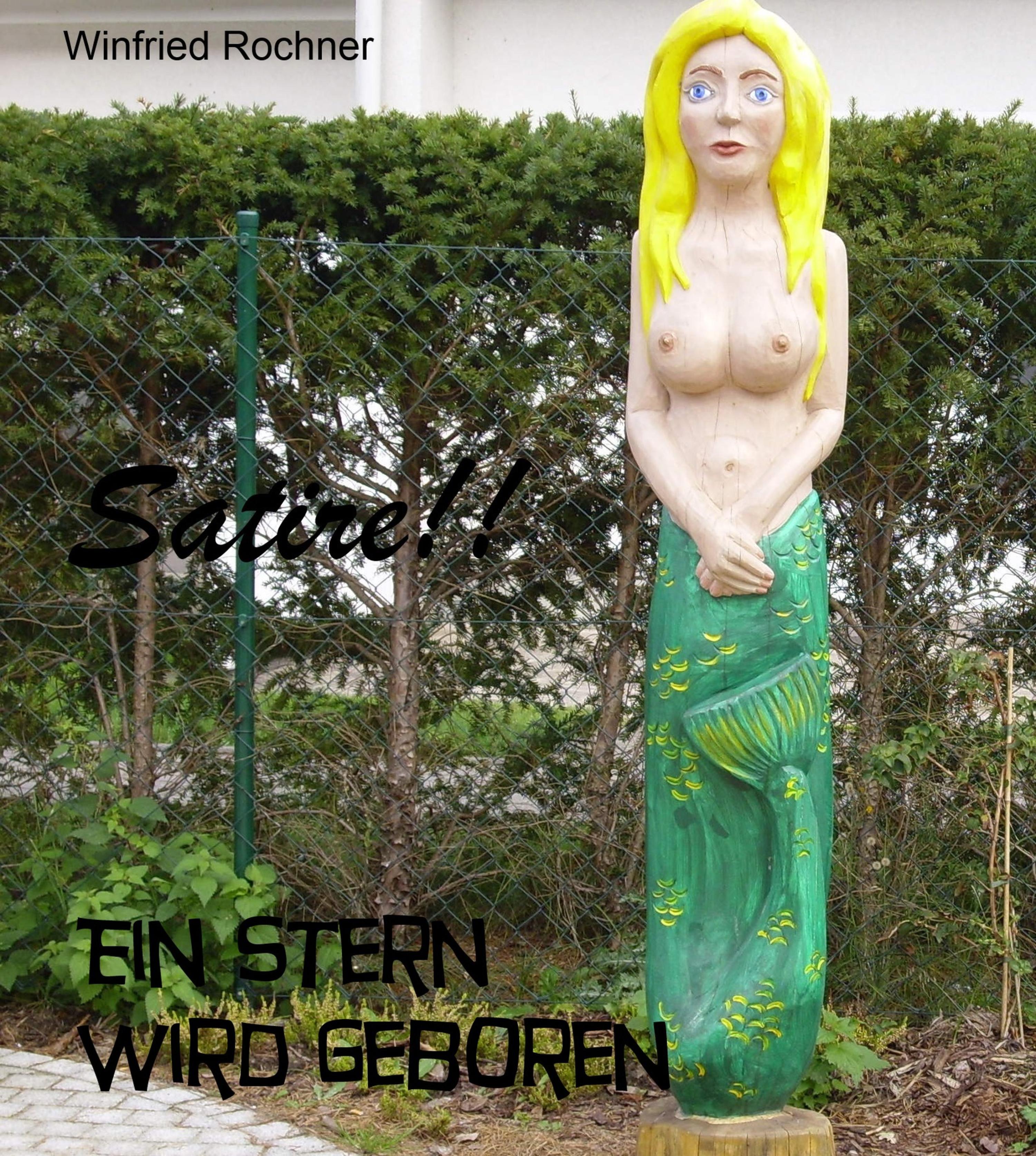 Обложка книги «Ein Stern wird geboren»
