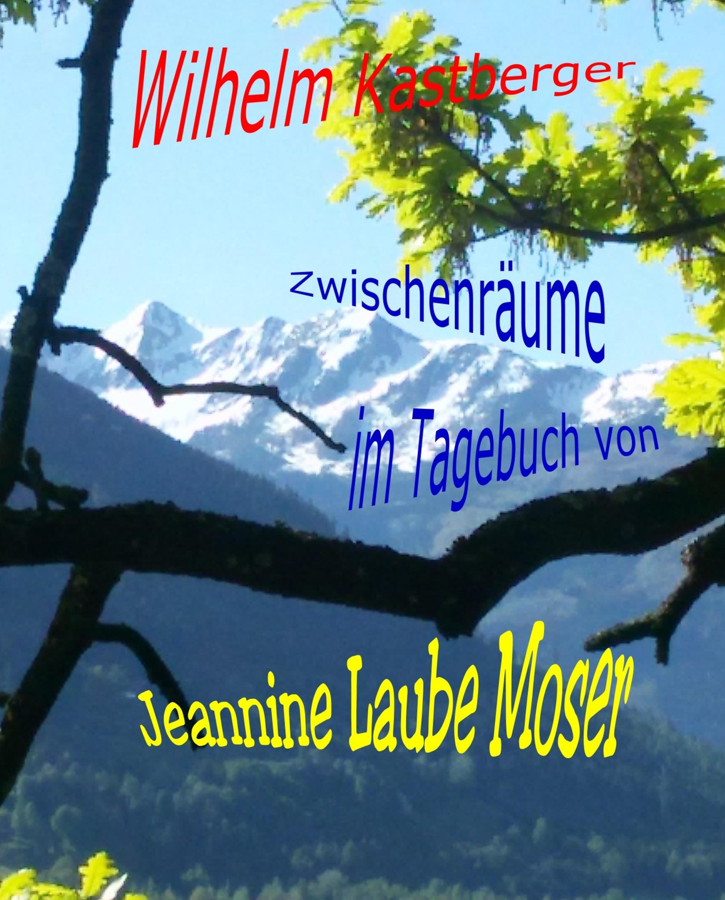 Обложка книги «Zwischenräume im Tagebuch von Jeannine Laube-Moser»