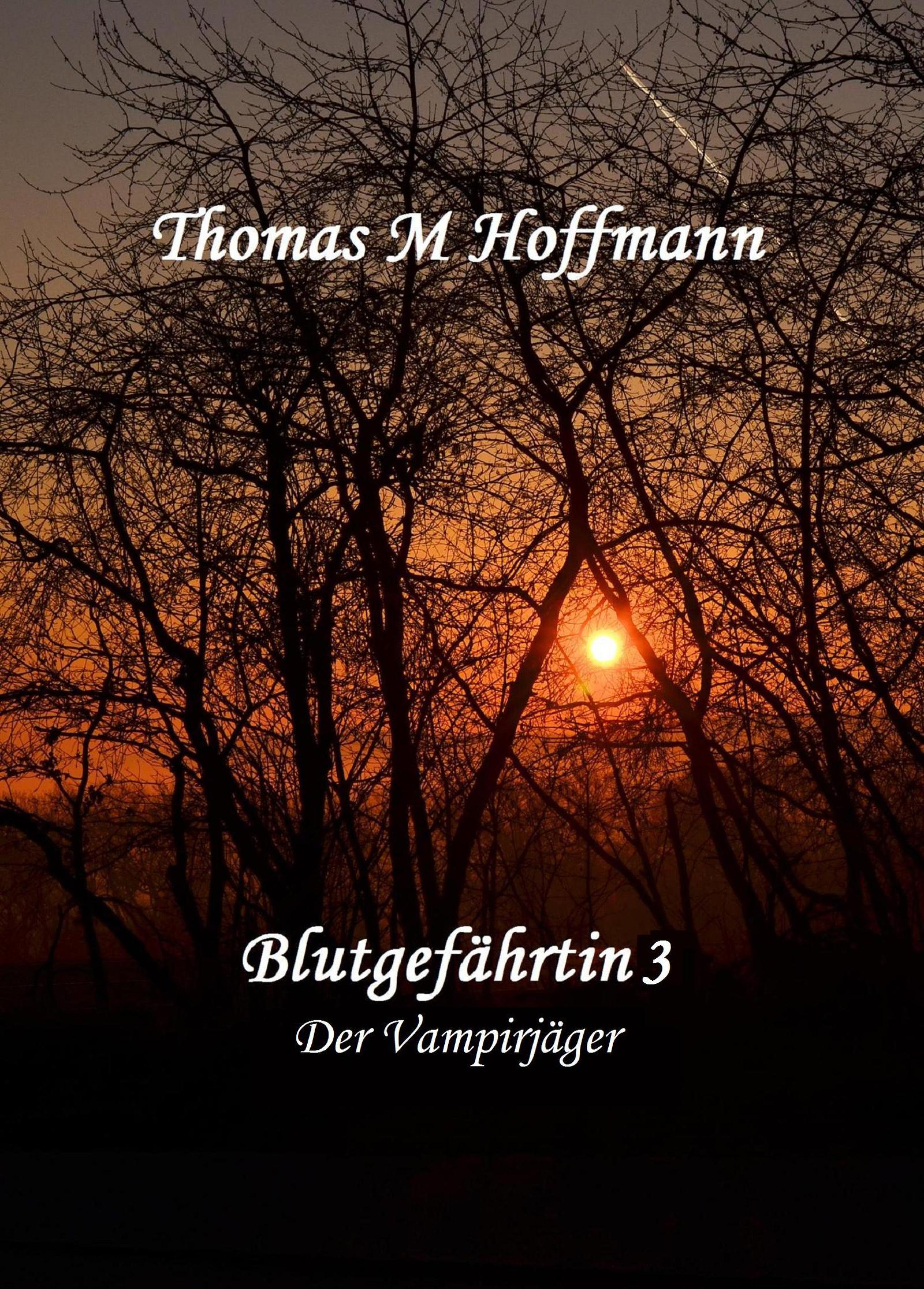 Обложка книги «Blutgefährtin 3»