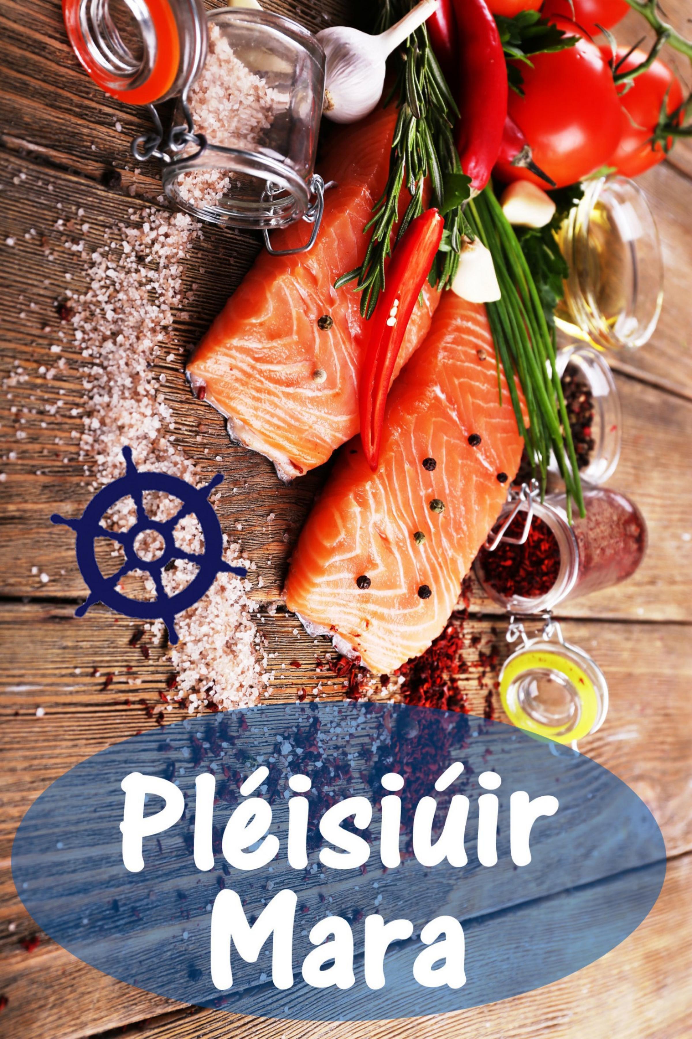 Обложка книги «Pléisiúir Mara»