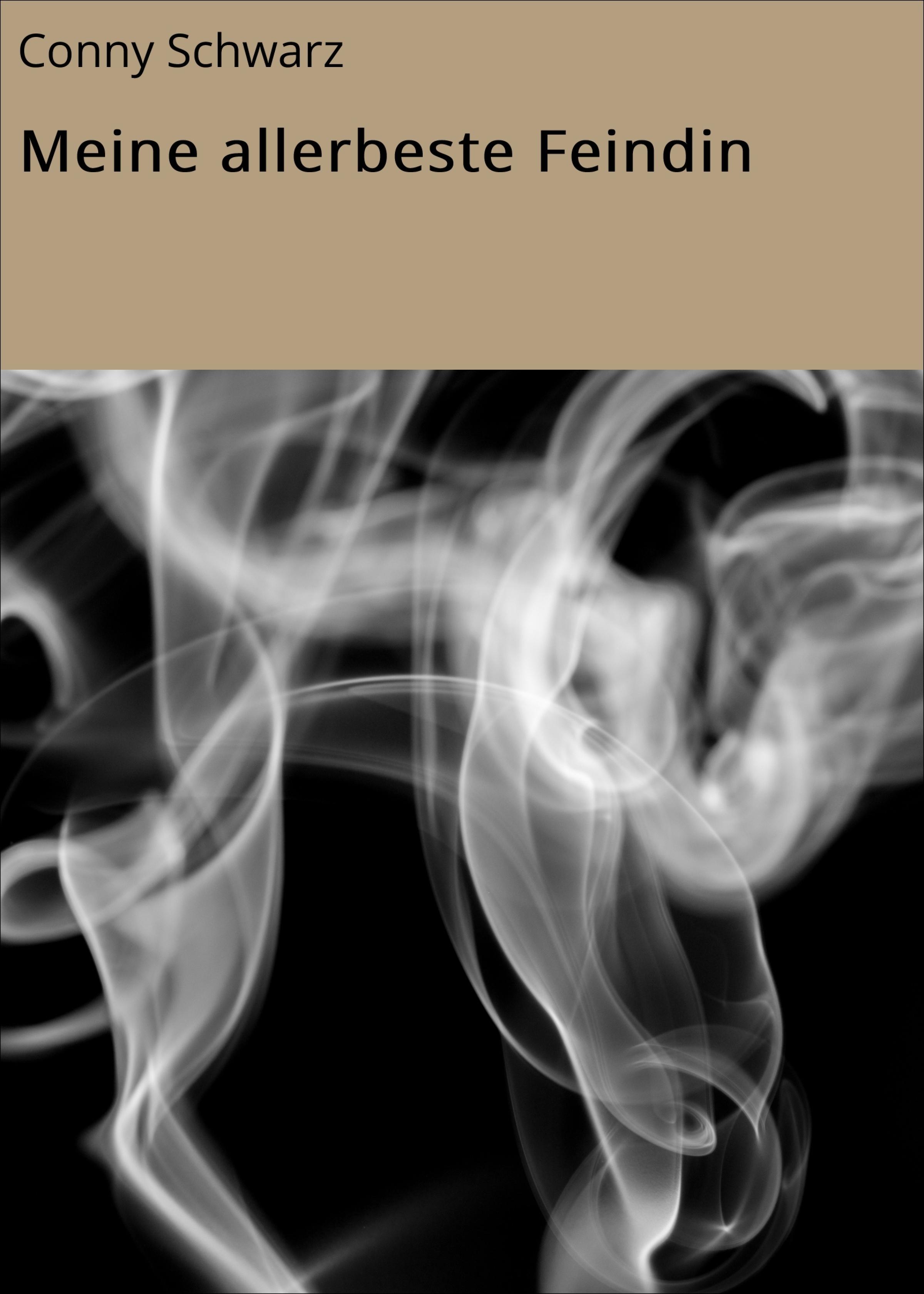 Обложка книги «Meine allerbeste Feindin»