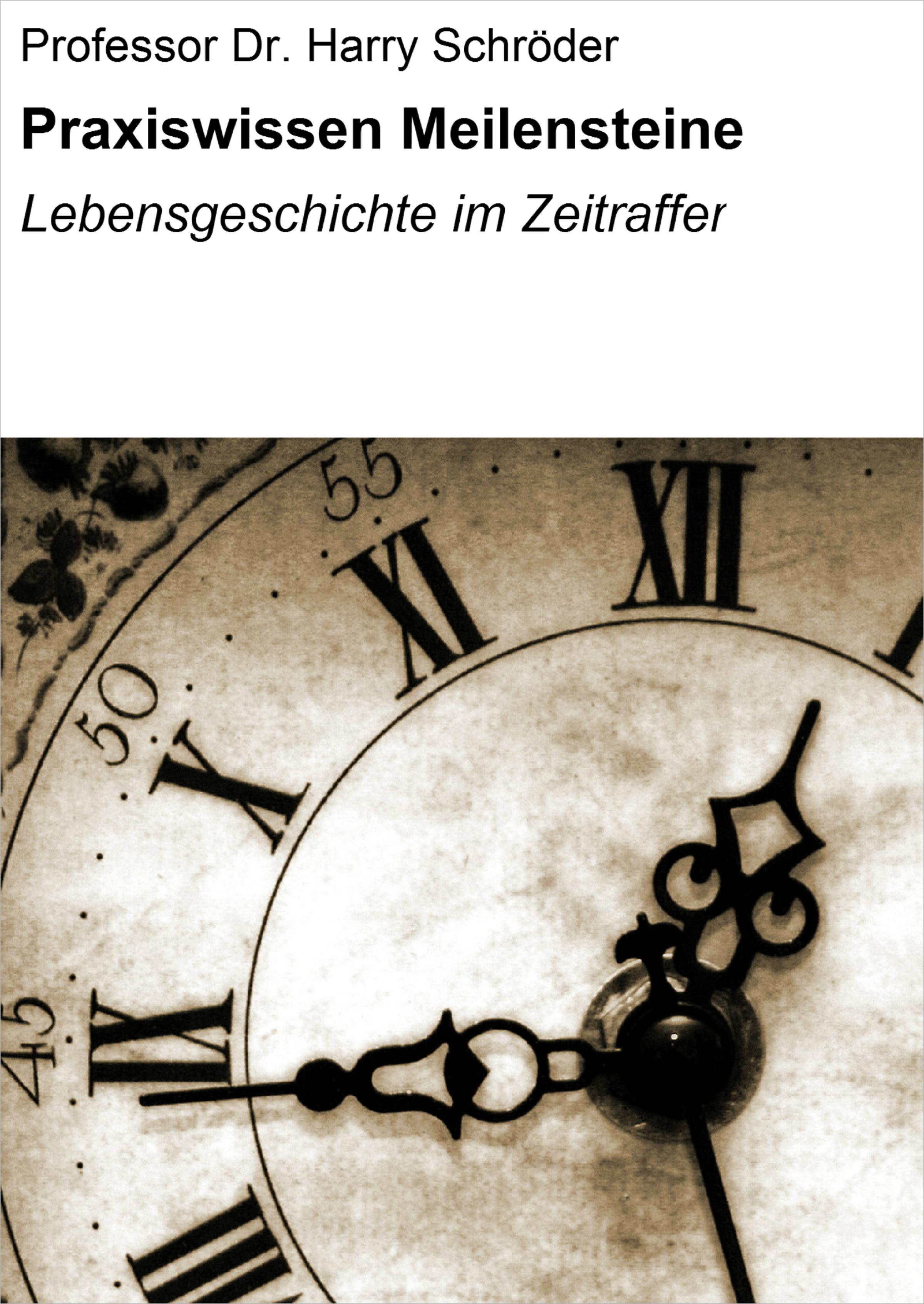 Обложка книги «Praxiswissen Meilensteine»