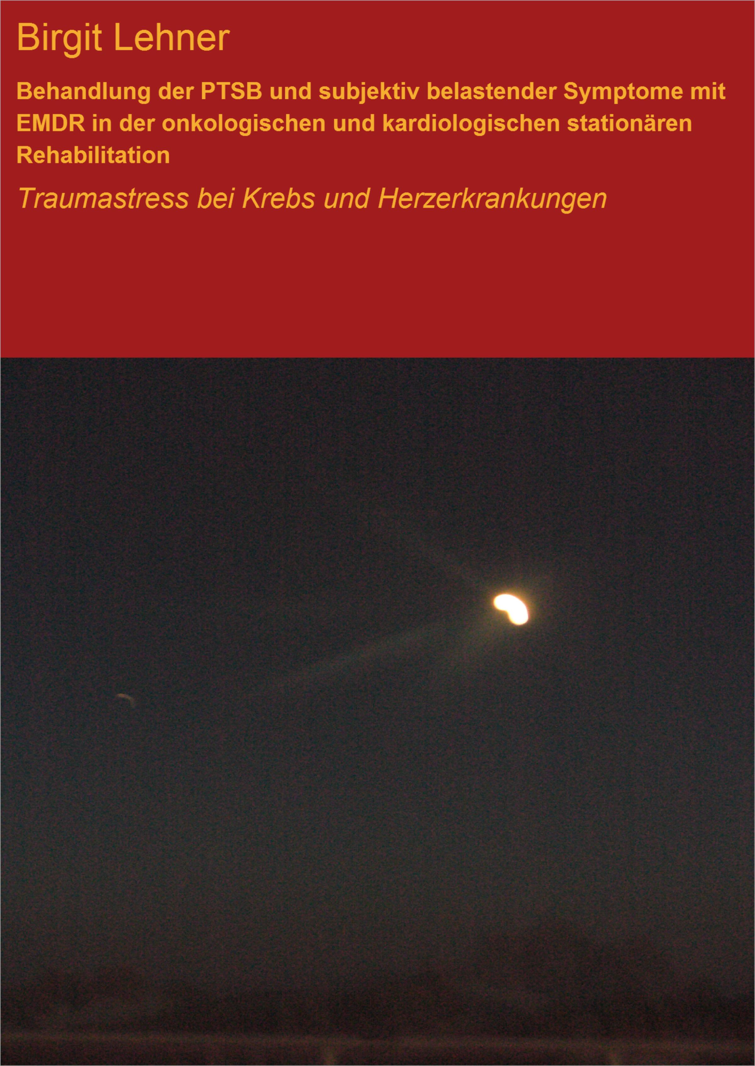 Обложка книги «Behandlung der PTSB und subjektiv belastender Symptome mit EMDR in der onkologischen und kardiologischen stationären Rehabilitation»