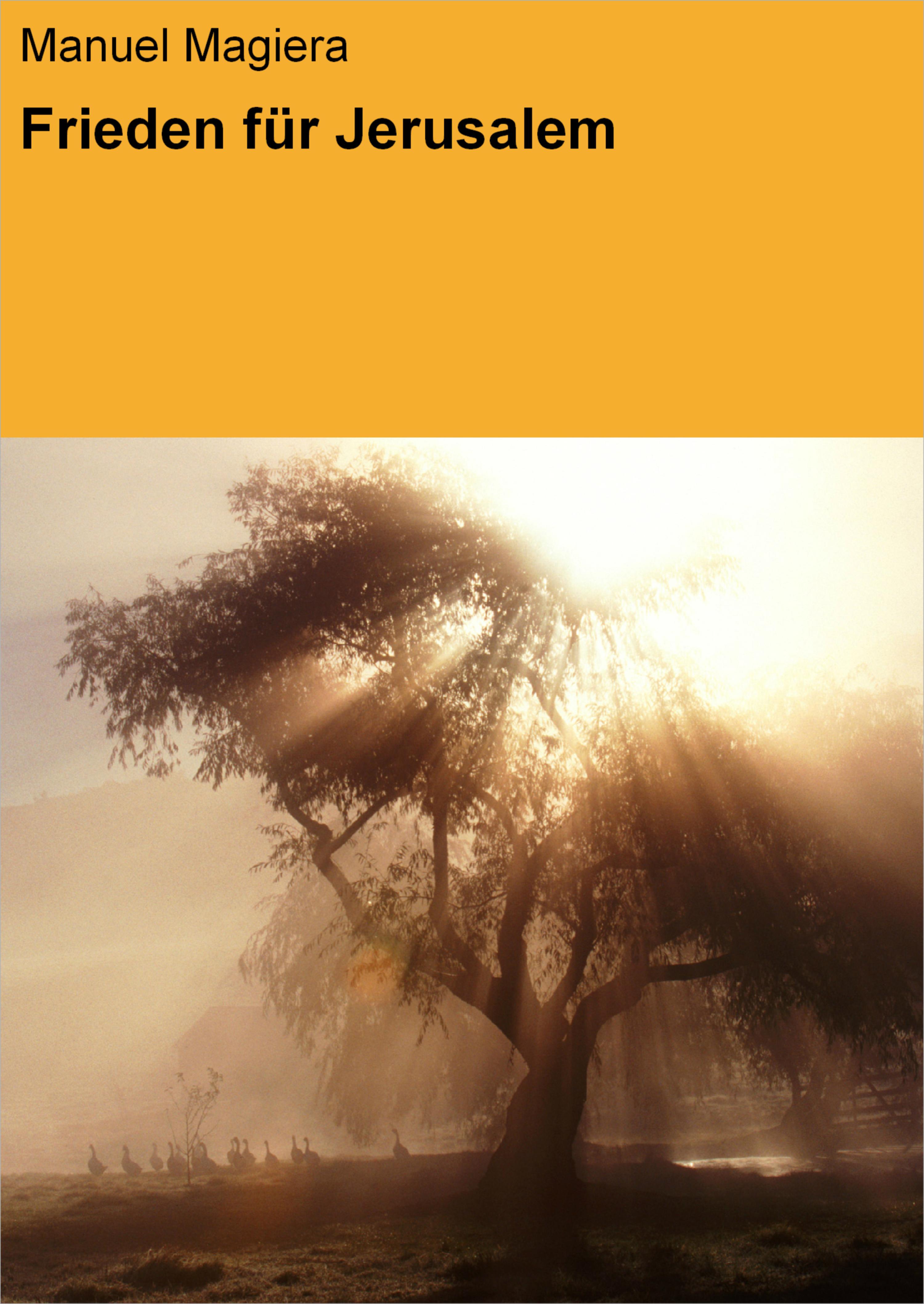 Обложка книги «Frieden für Jerusalem»
