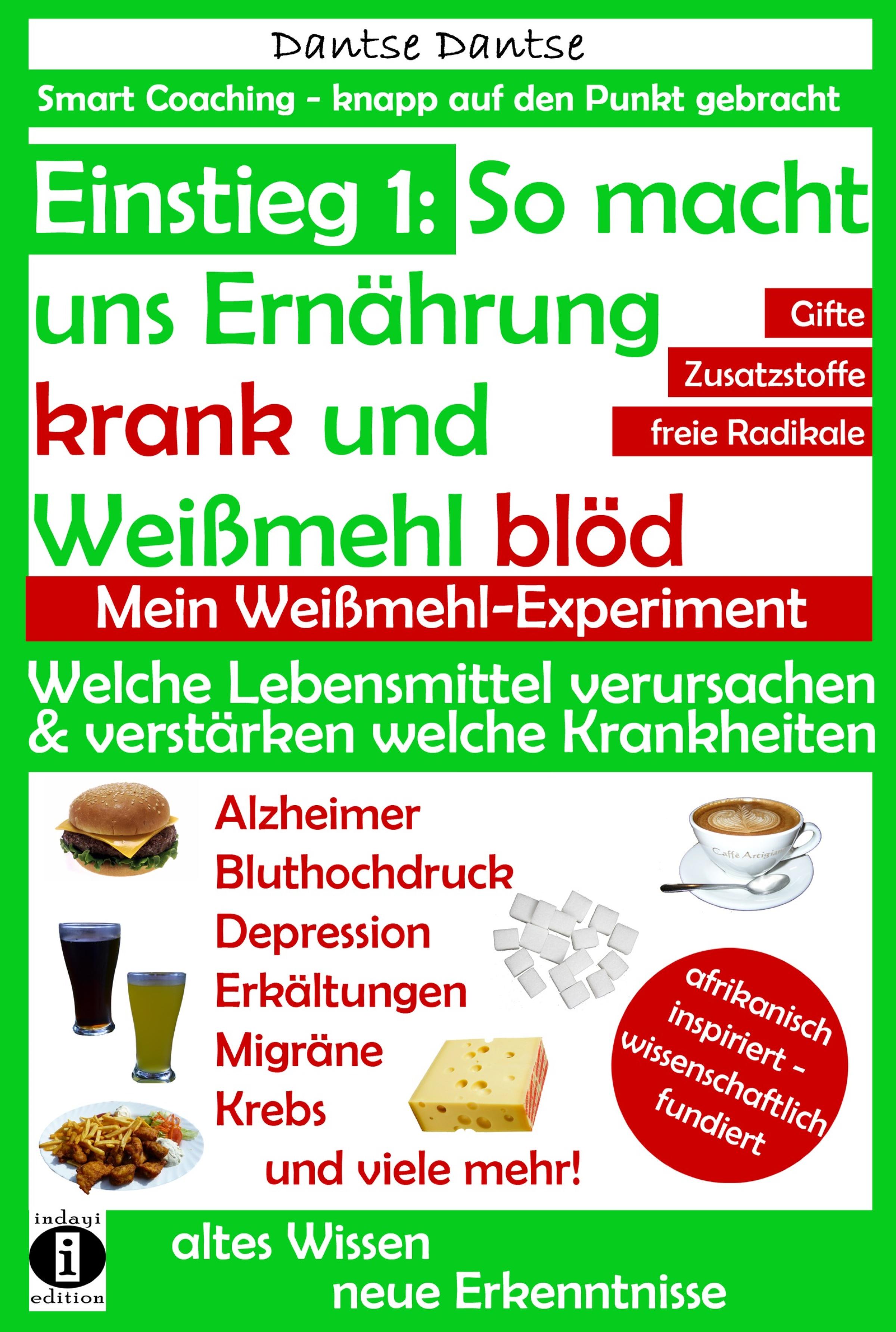 Обложка книги «Einstieg 1: So macht Ernährung uns krank und Weißmehl blöd: Welche Lebensmittel verursachen und verstärken welche Krankheiten?»