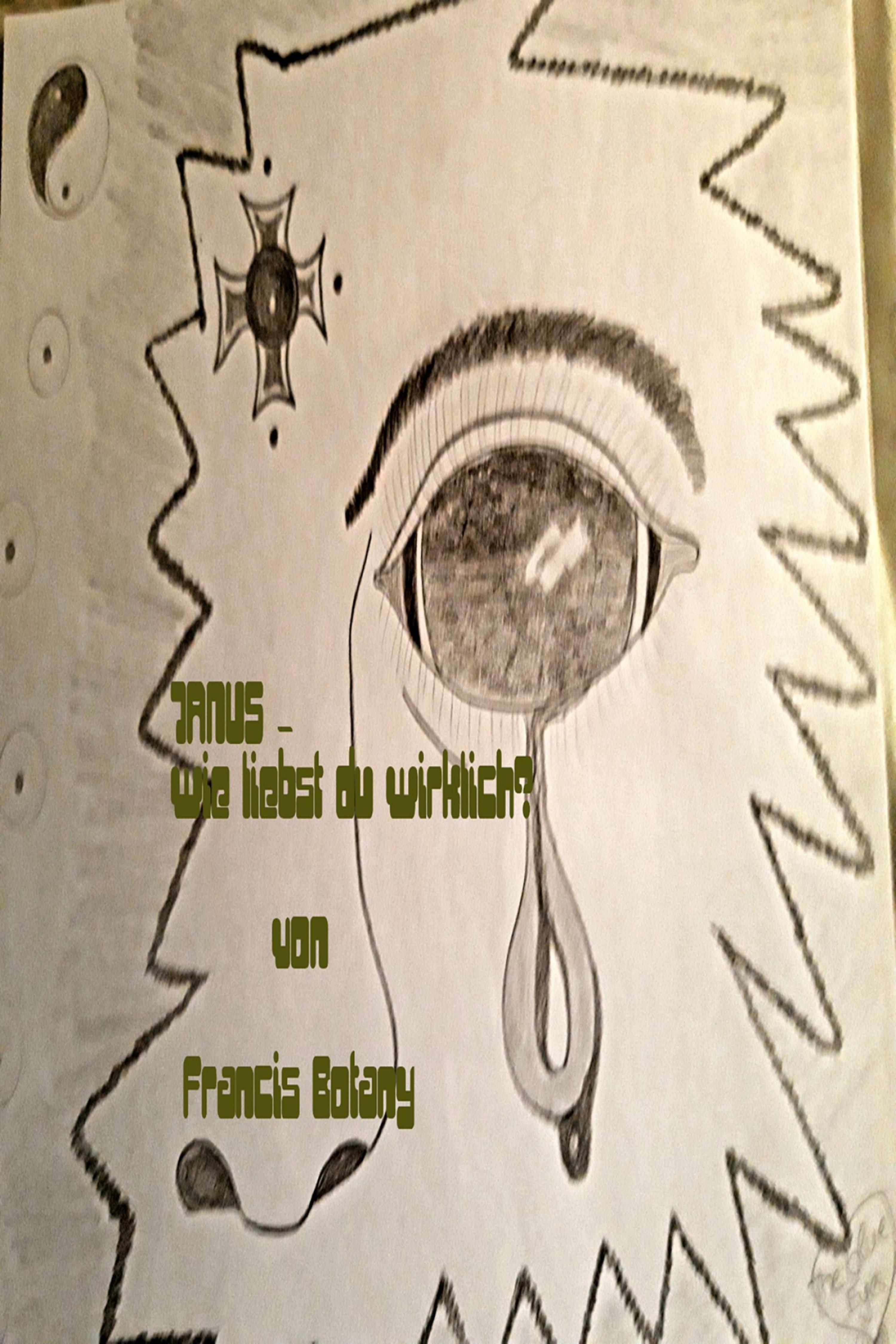 Обложка книги «Janus-wie liebst du wirklich?»