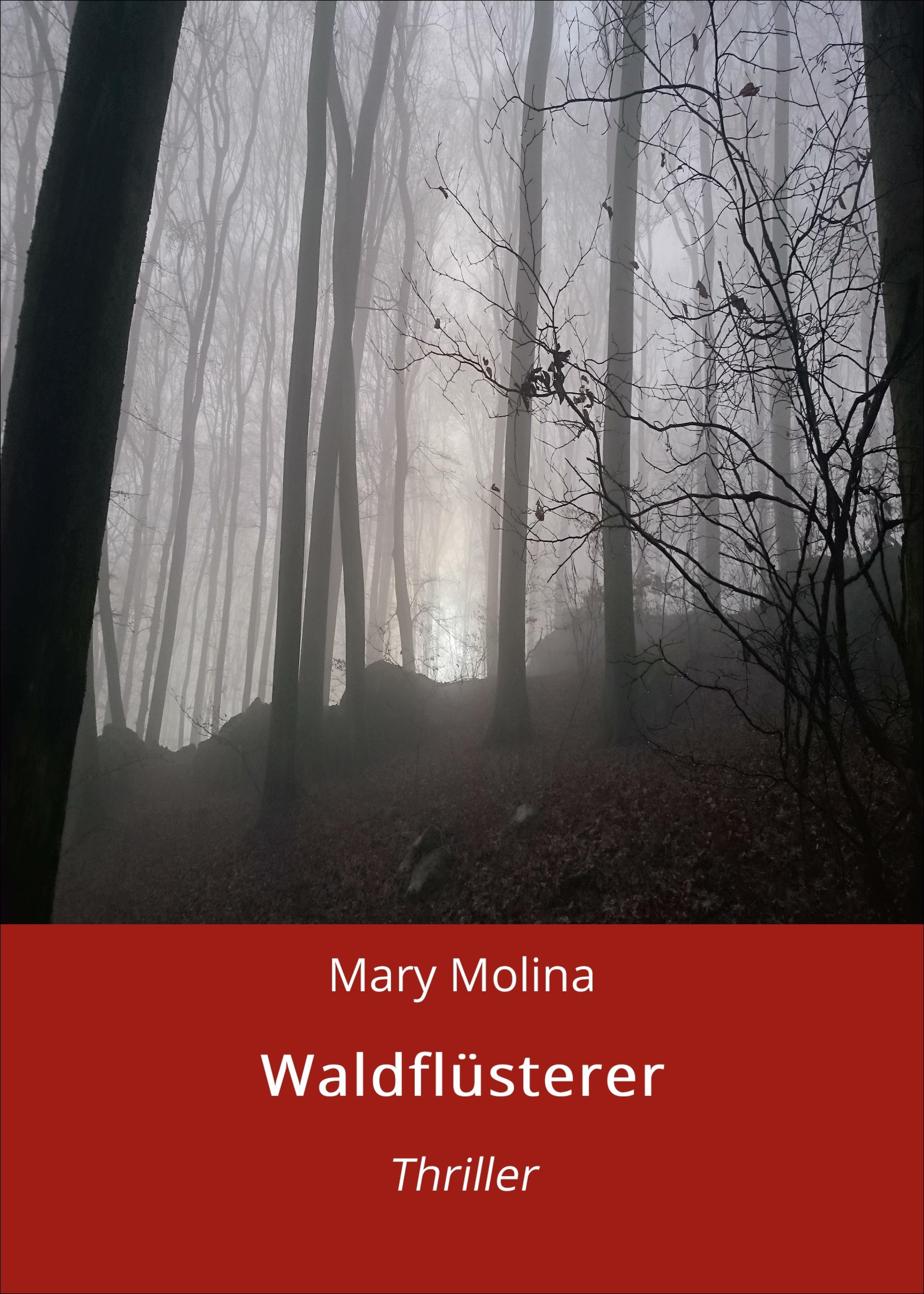 Обложка книги «Waldflüsterer»