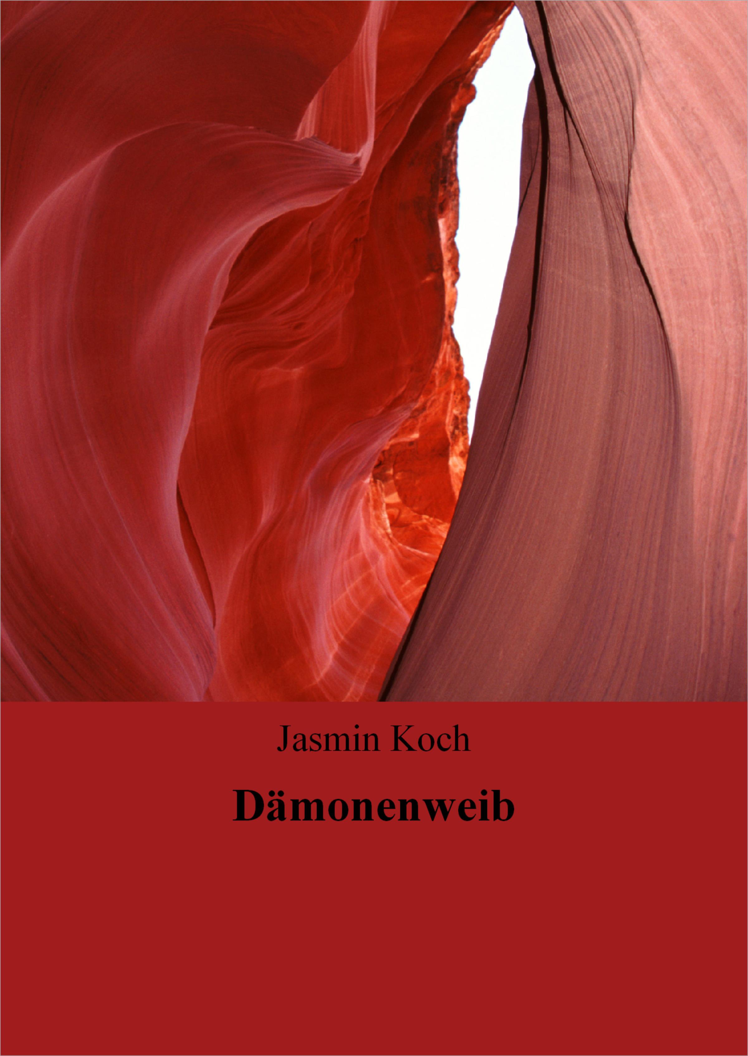 Обложка книги «Dämonenweib»