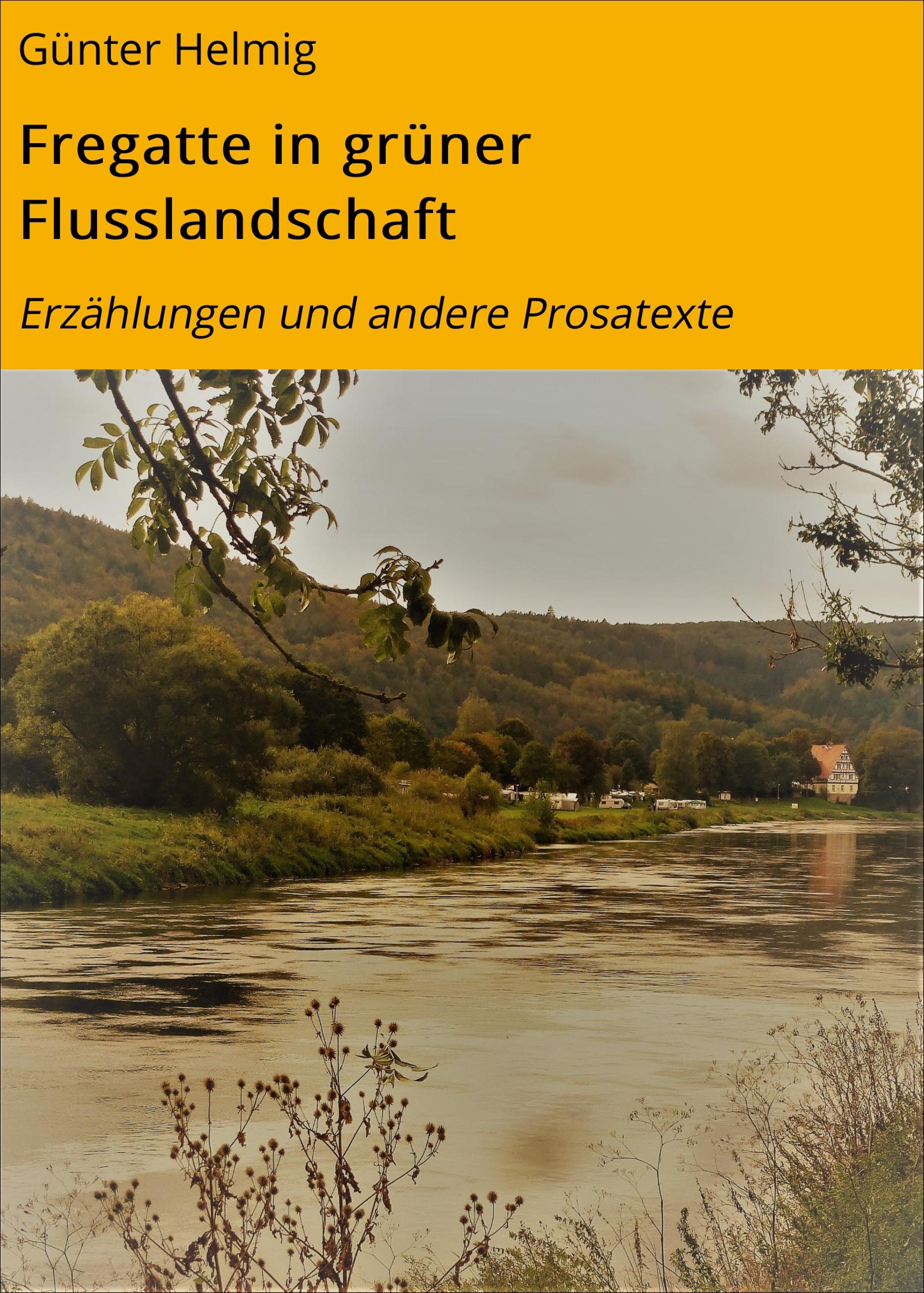 Обложка книги «Fregatte in grüner Flusslandschaft»