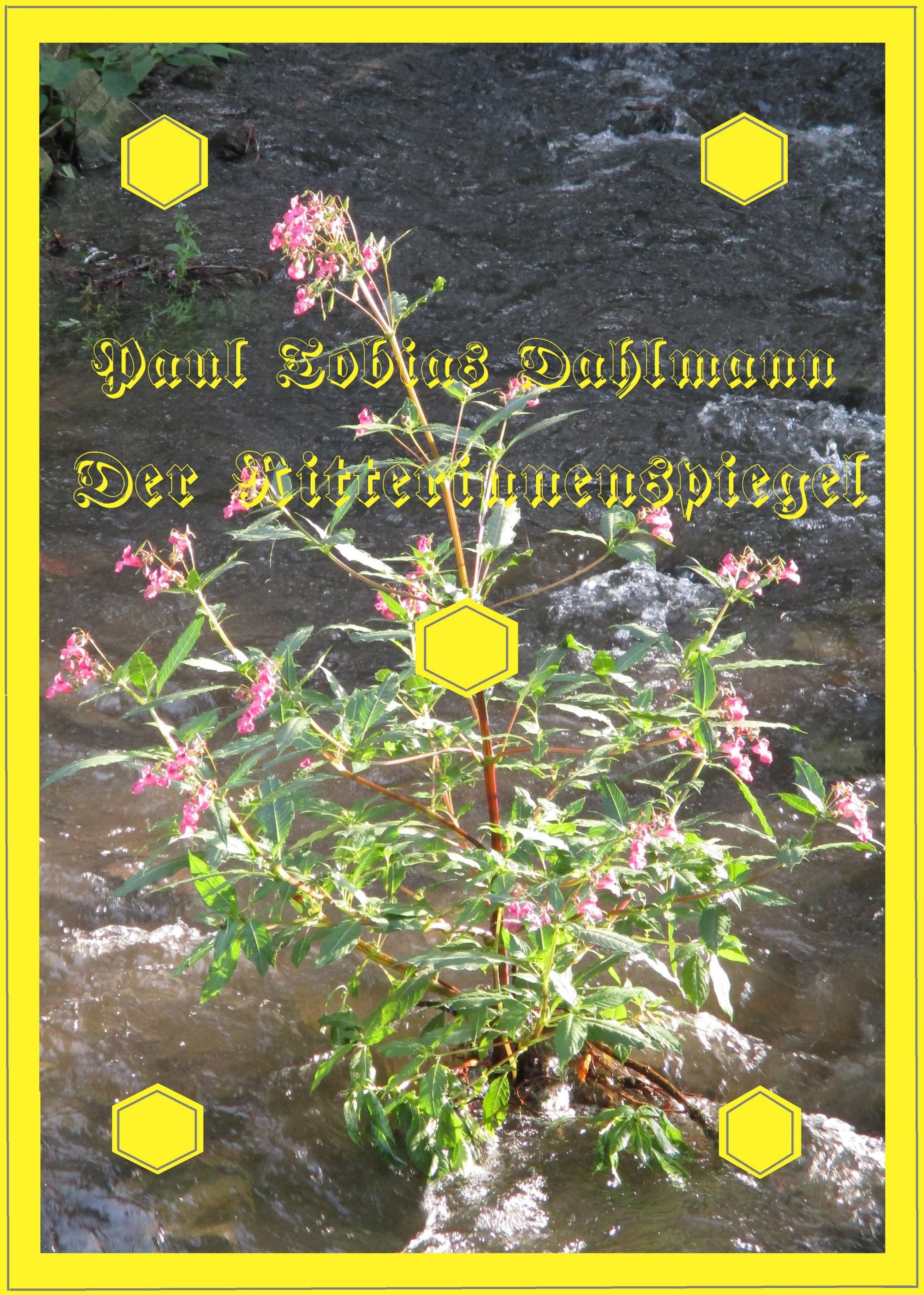 Обложка книги «Der Ritterinnenspiegel»