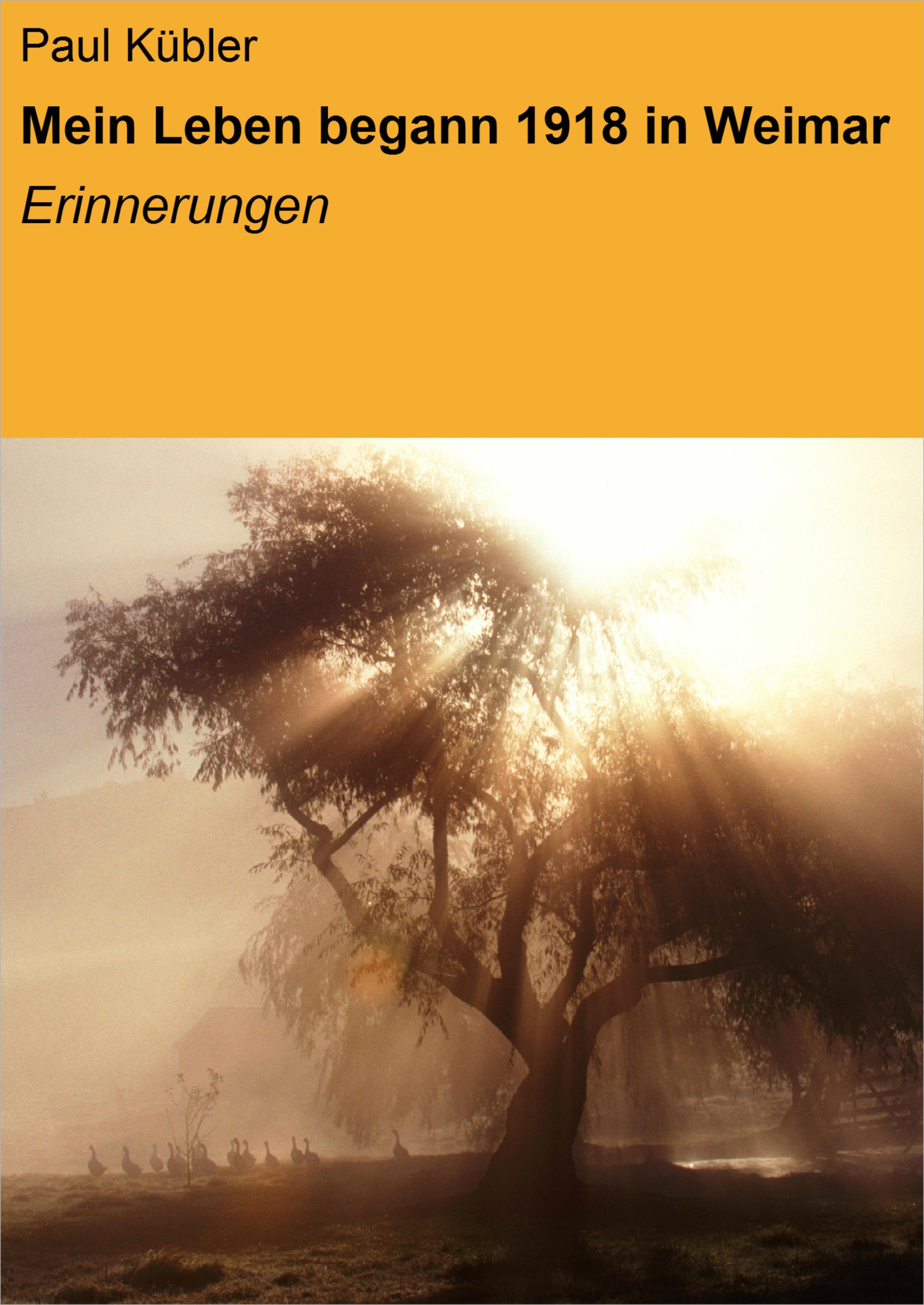 Обложка книги «Mein Leben begann 1918 in Weimar»