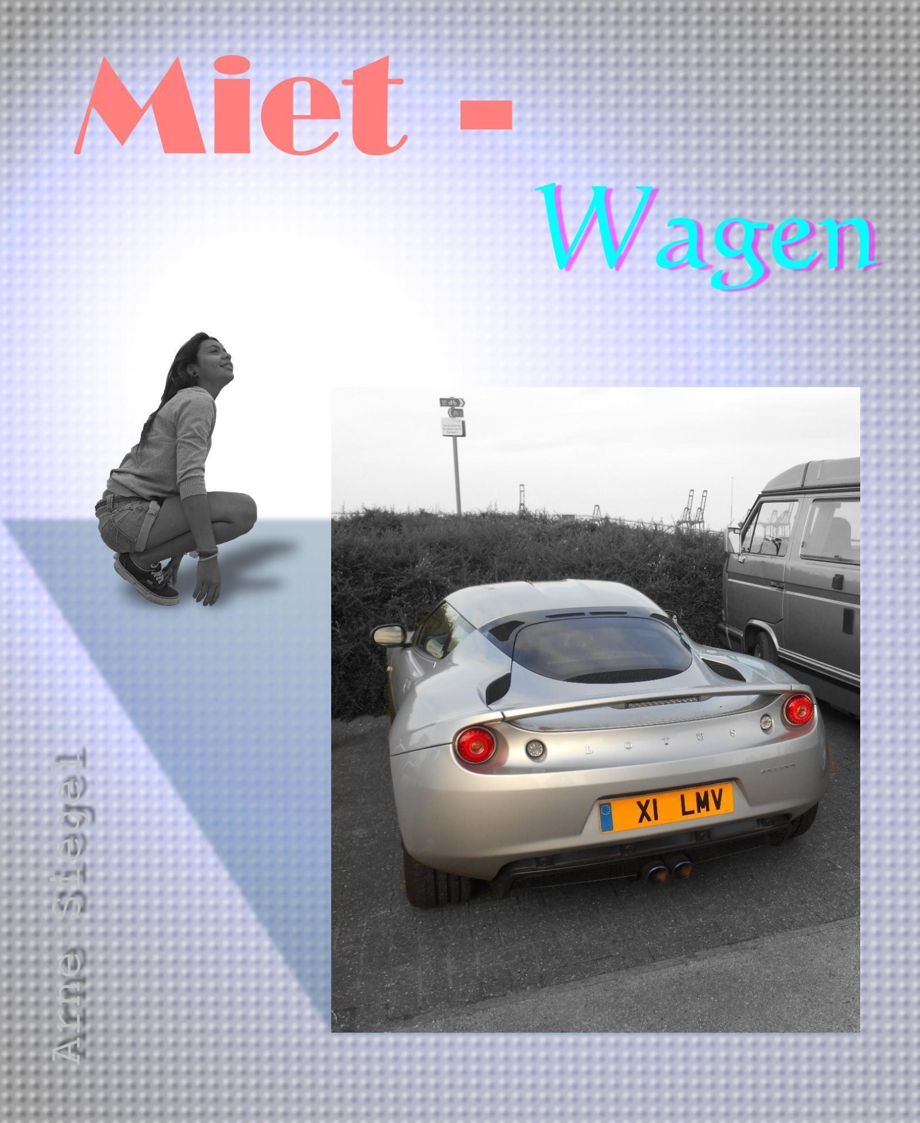 Обложка книги «Miet - Wagen»