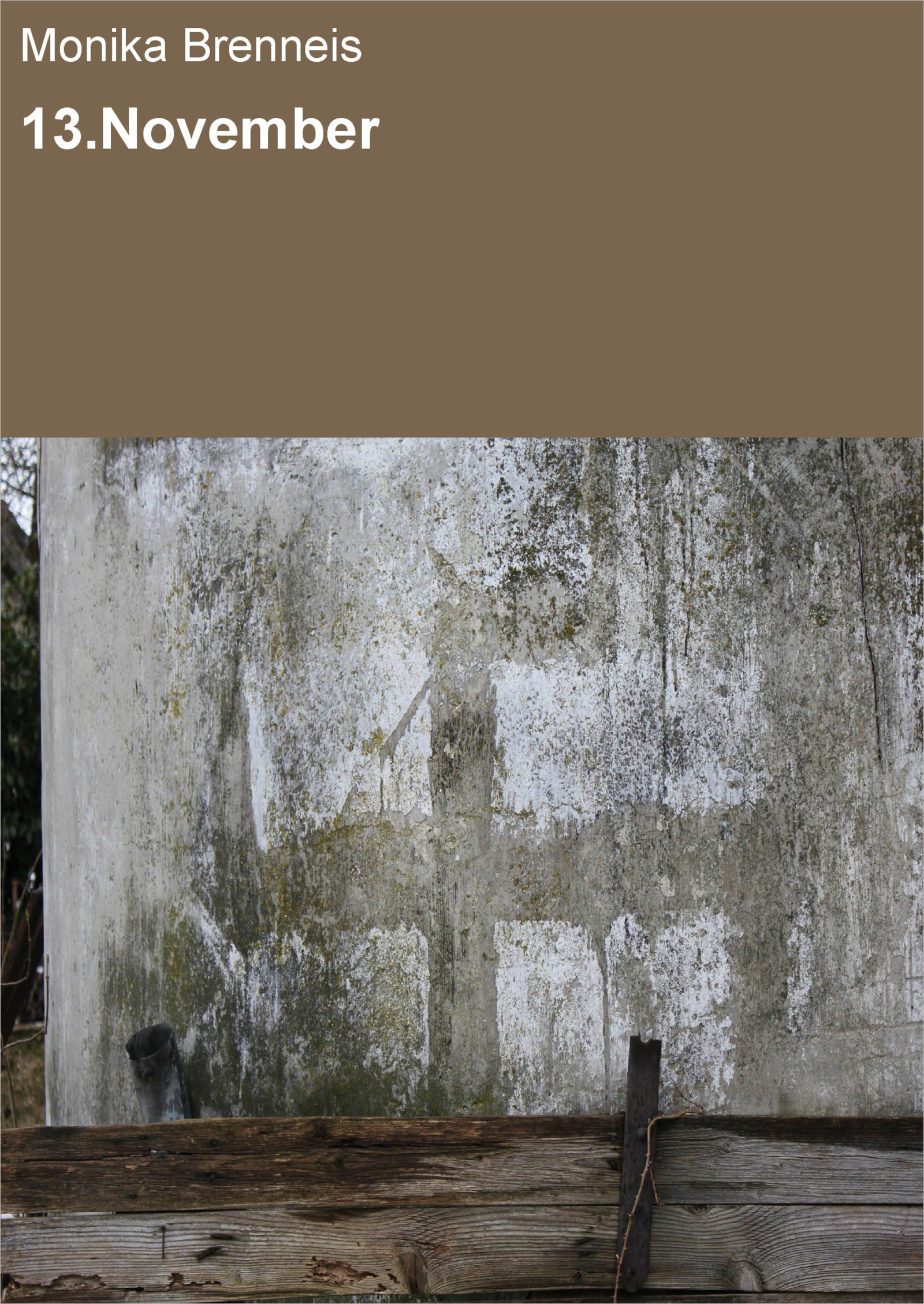 Обложка книги «13.November»