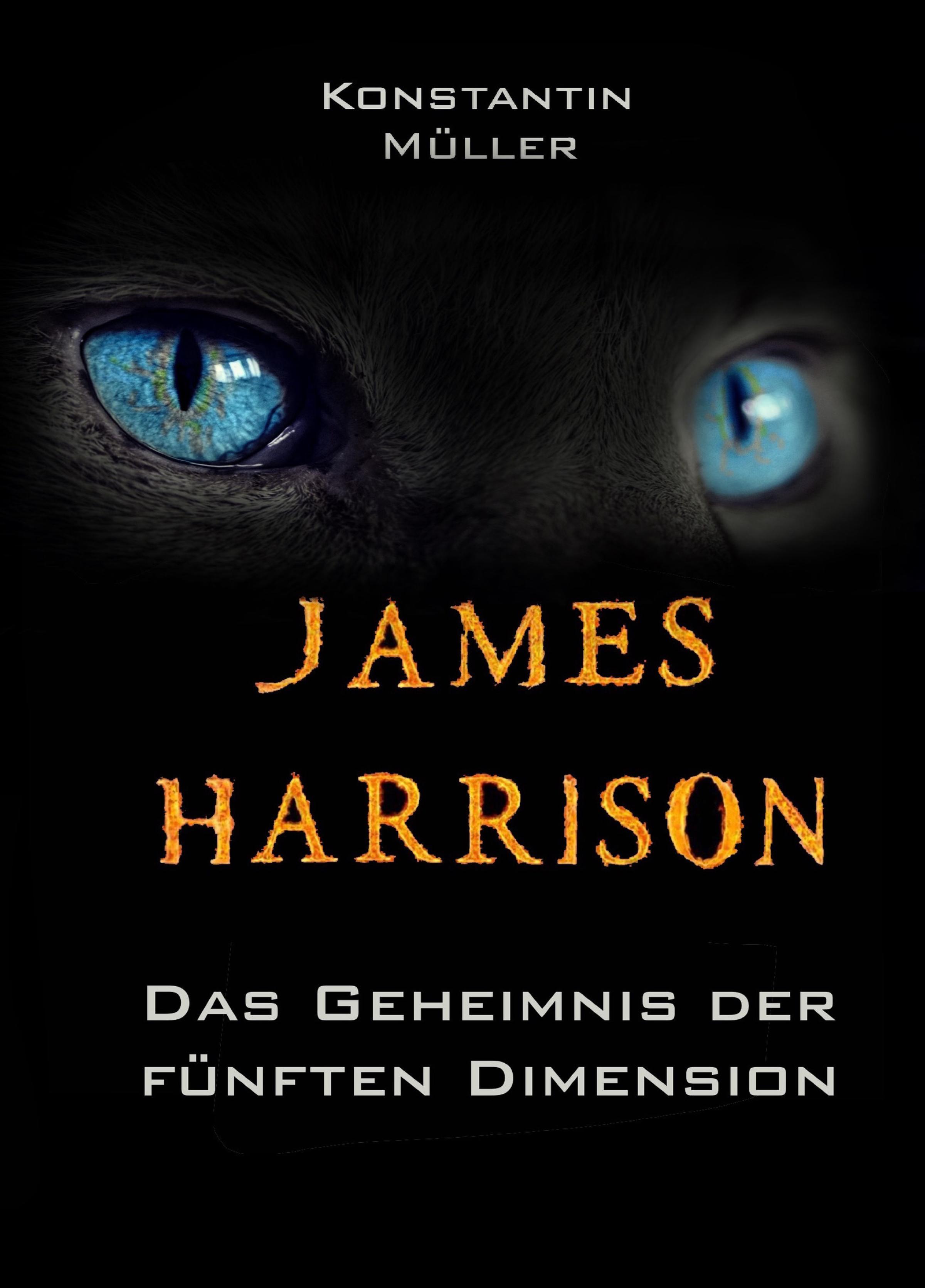 Обложка книги «JAMES HARRISON»