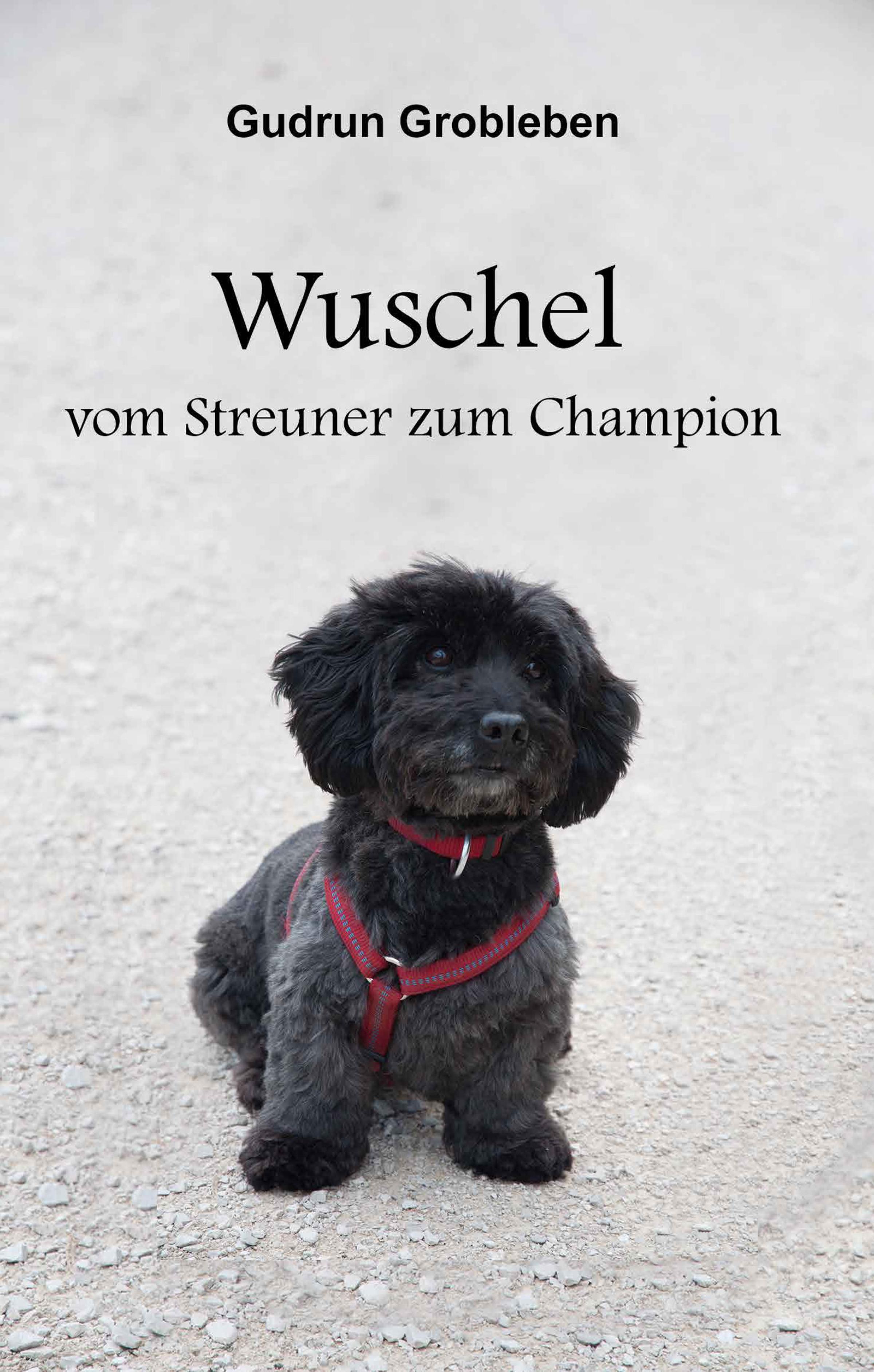 Обложка книги «Wuschel, vom Streuner zum Champion»