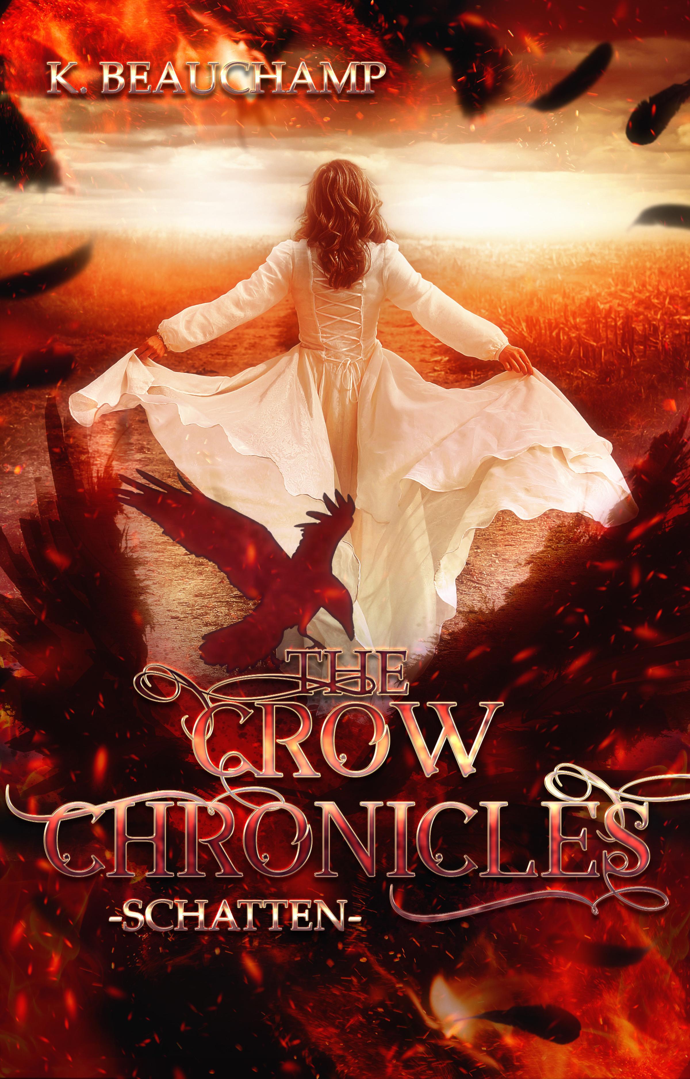 Обложка книги «The Crow Chronicles»